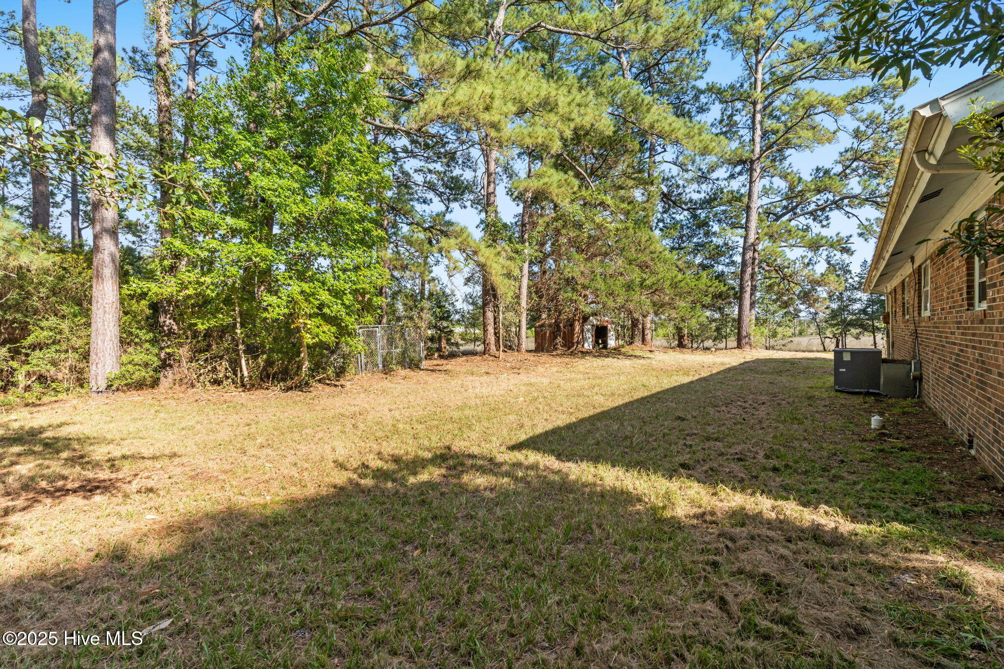 100534429 | Photo 13