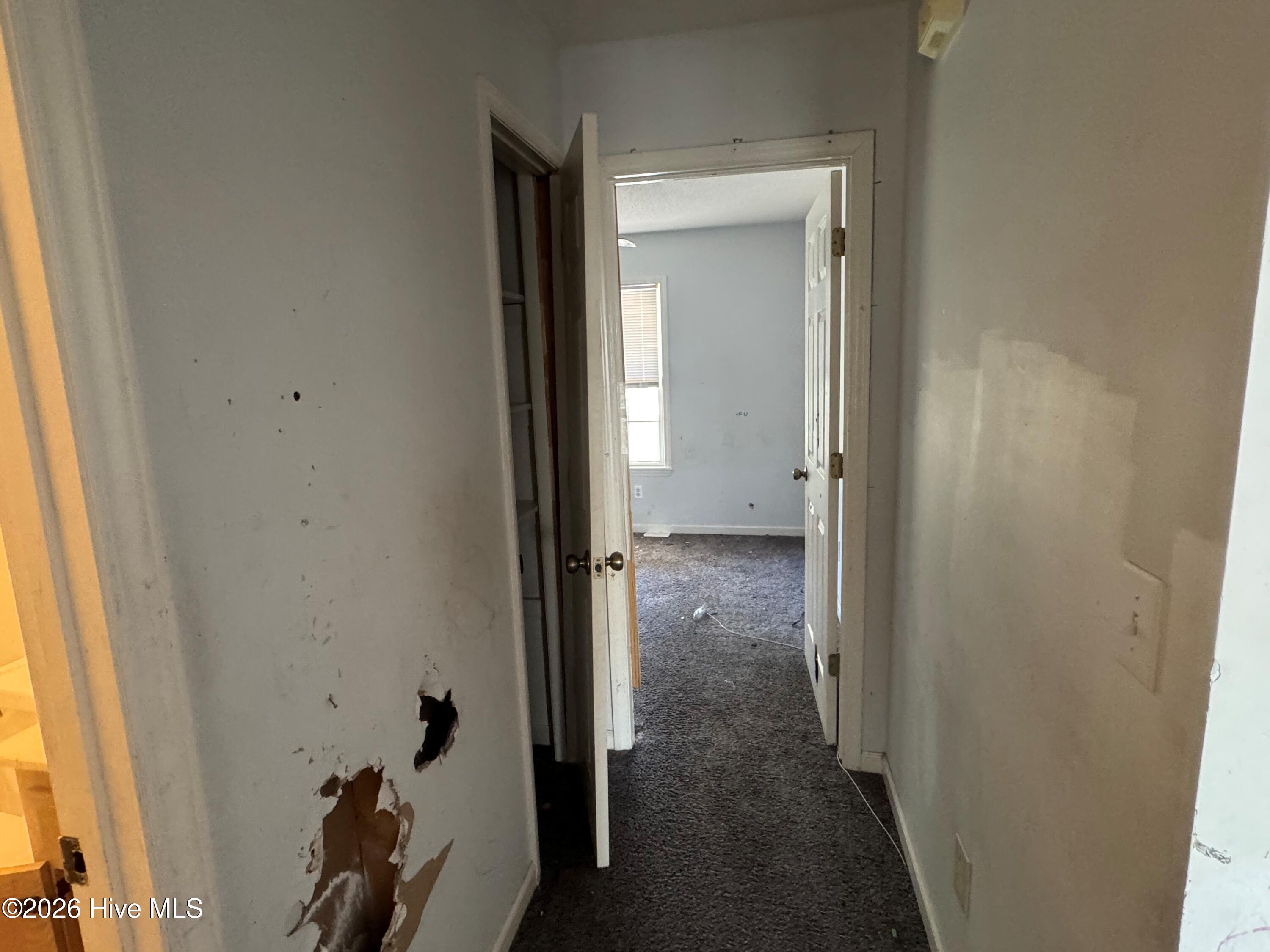 100561066 | Photo 25