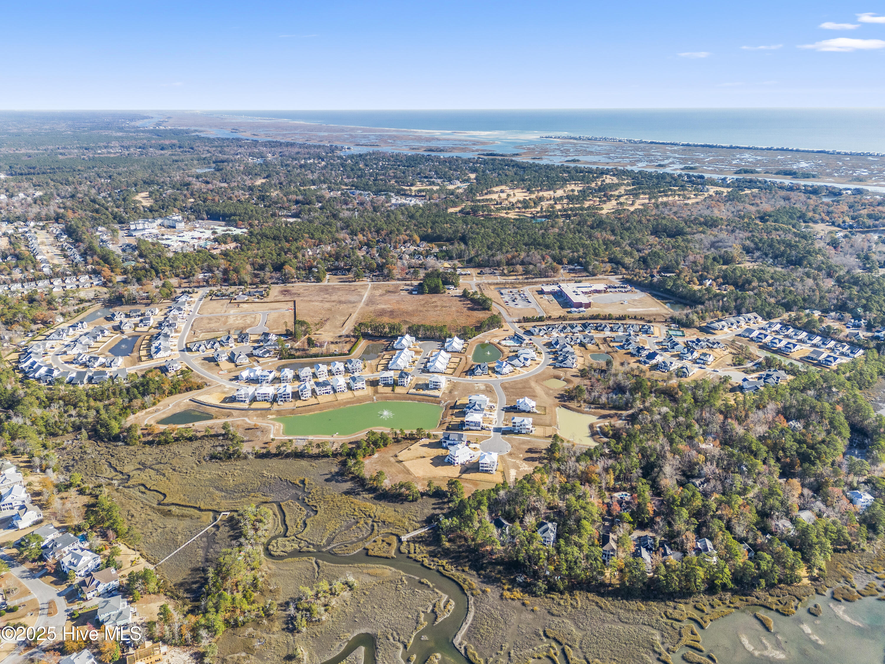 Overview of community