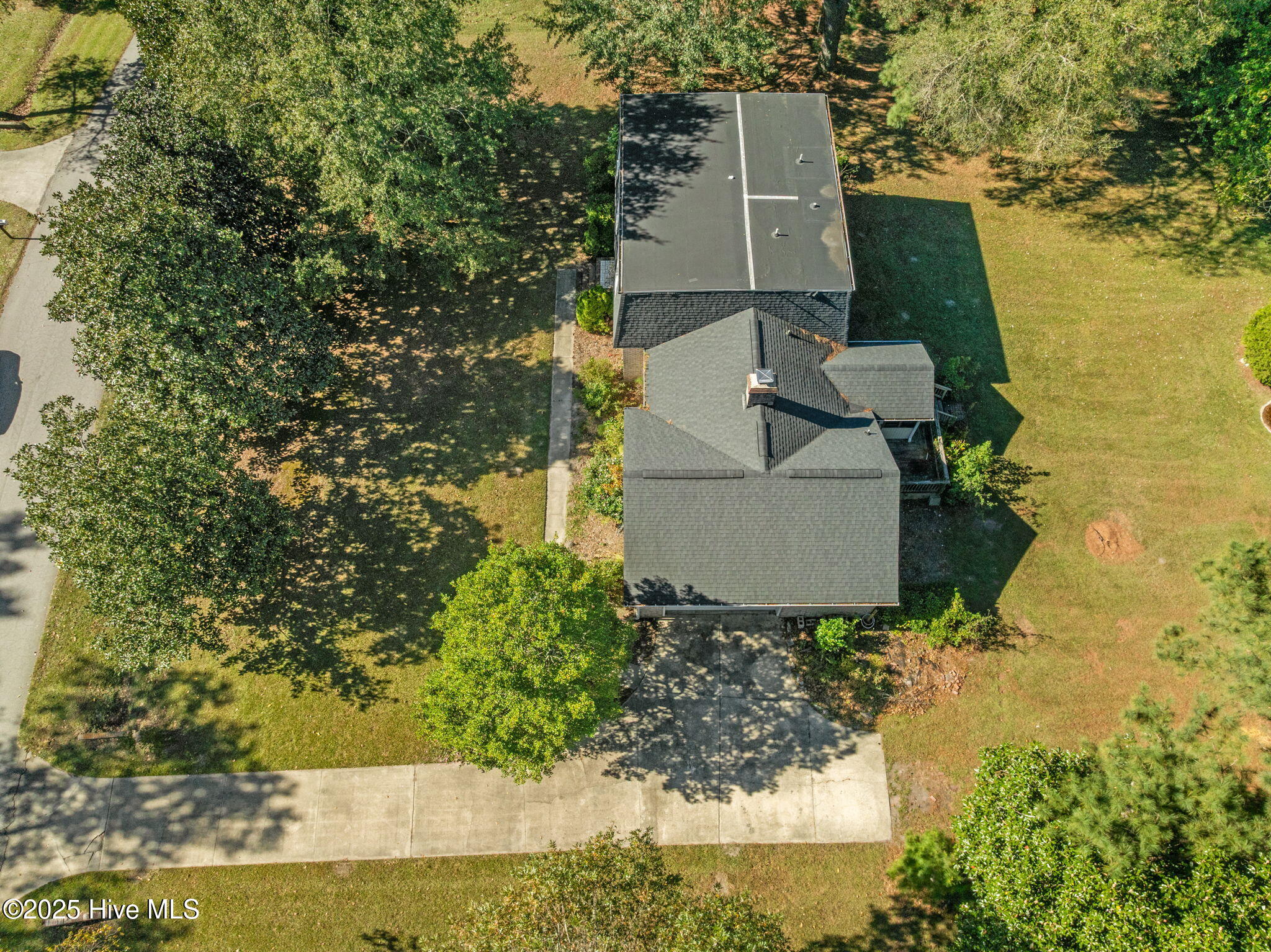 100537375 | Photo 48