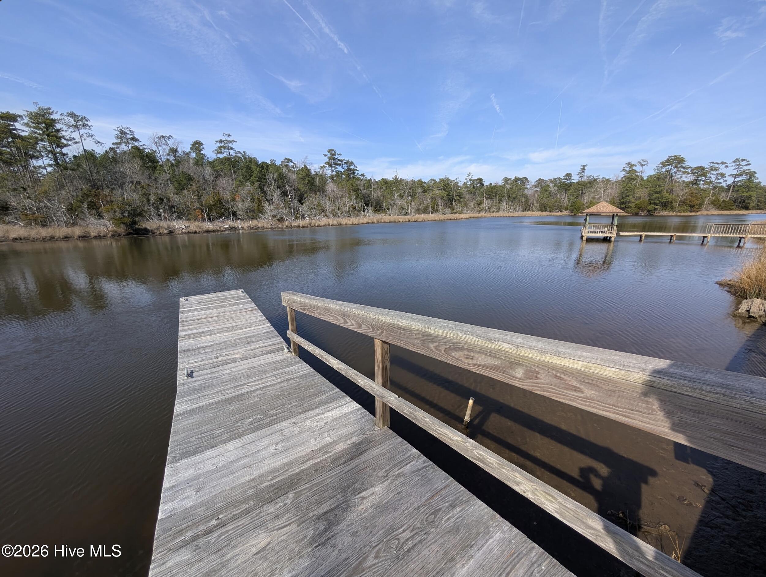 100558497 | Photo 69