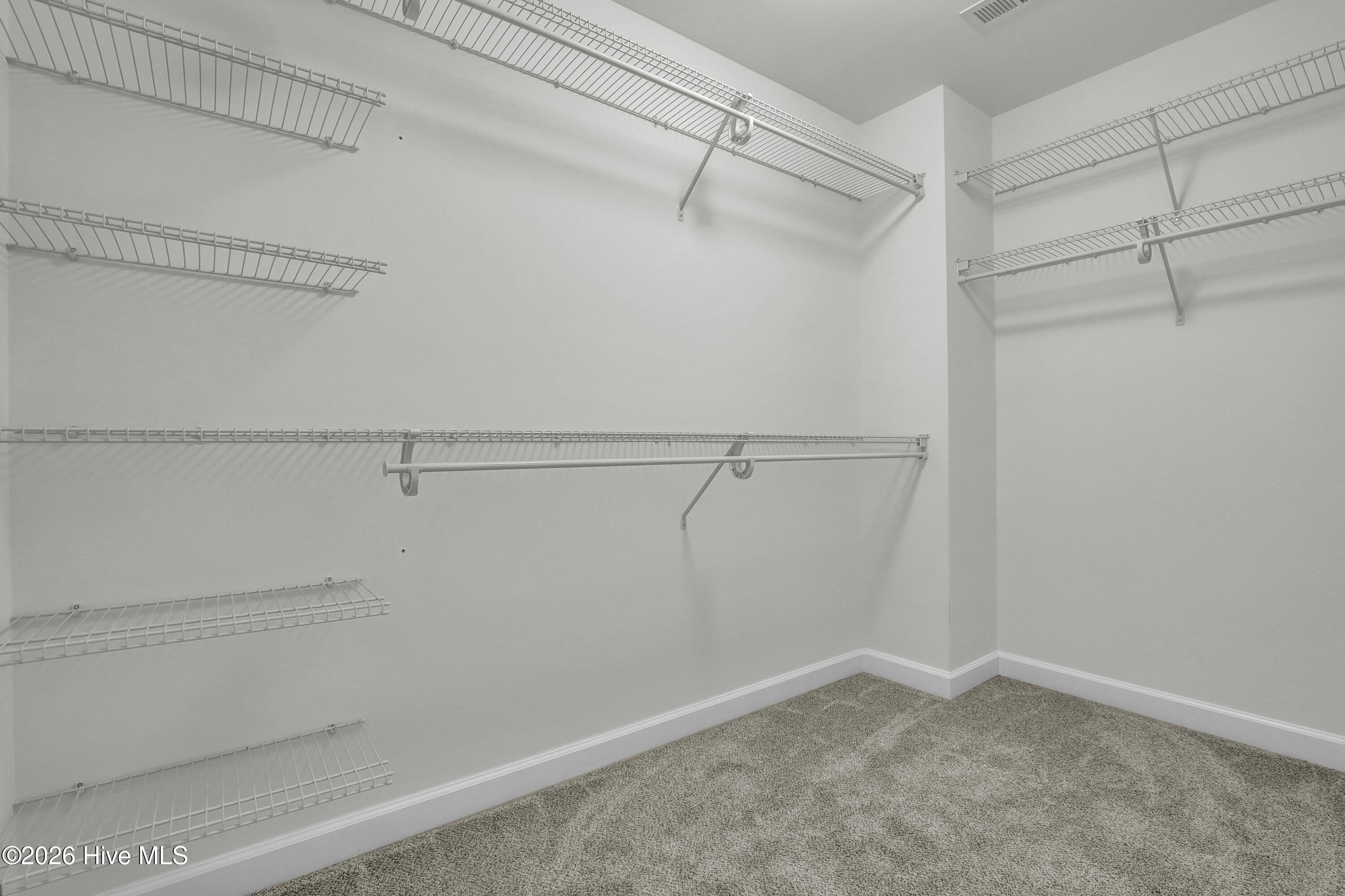 100556478 | Photo 31