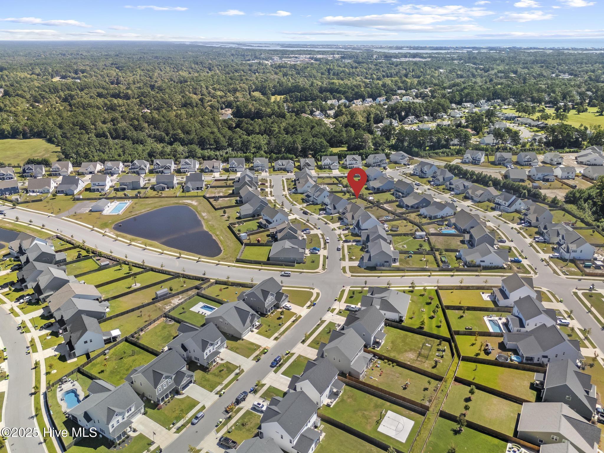 100528220 | Photo 46