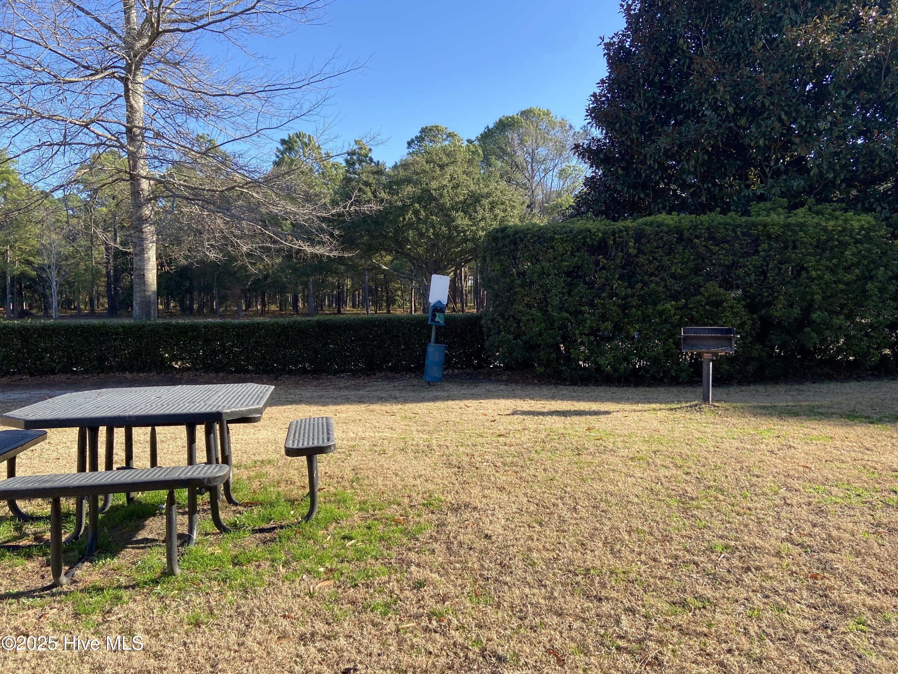 100546952 | Photo 31