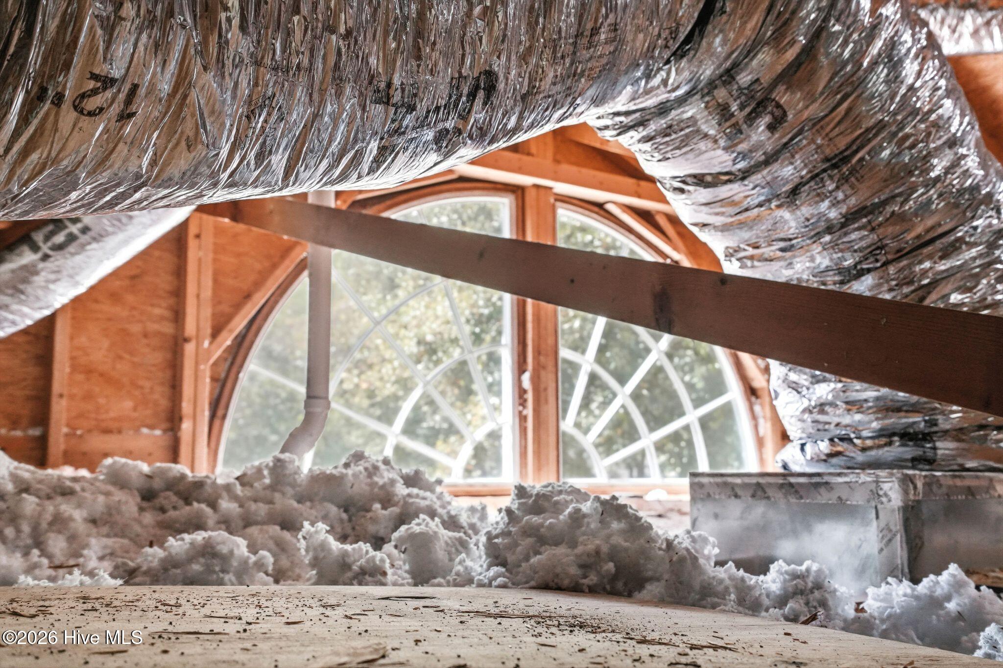 100564510 | Photo 71