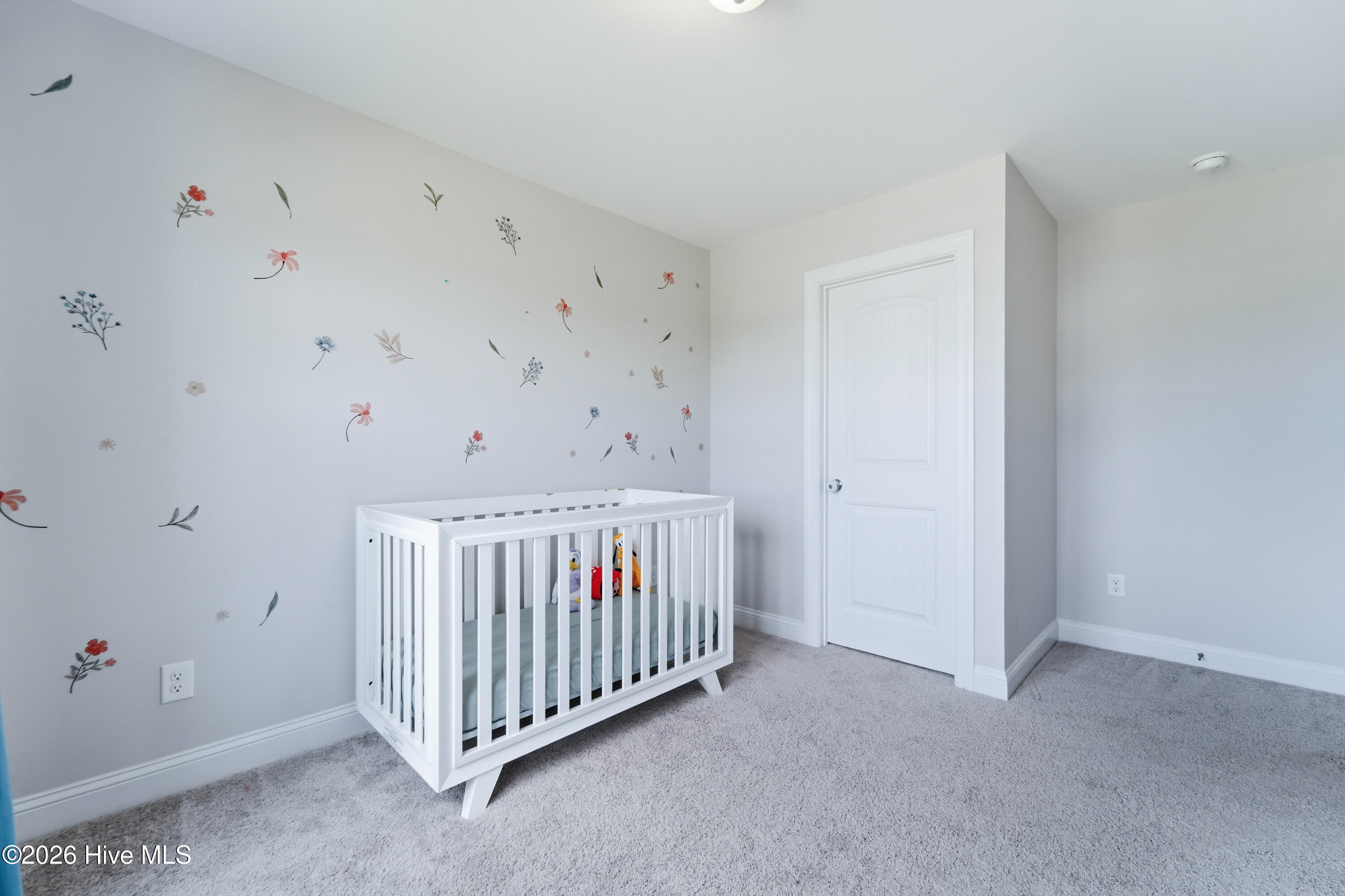 700 Puppy Drum Lane,Maysville
