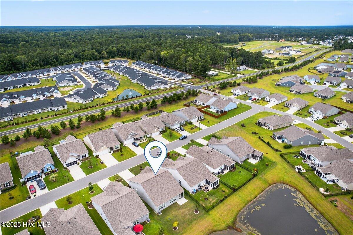 100522416 | Photo 63