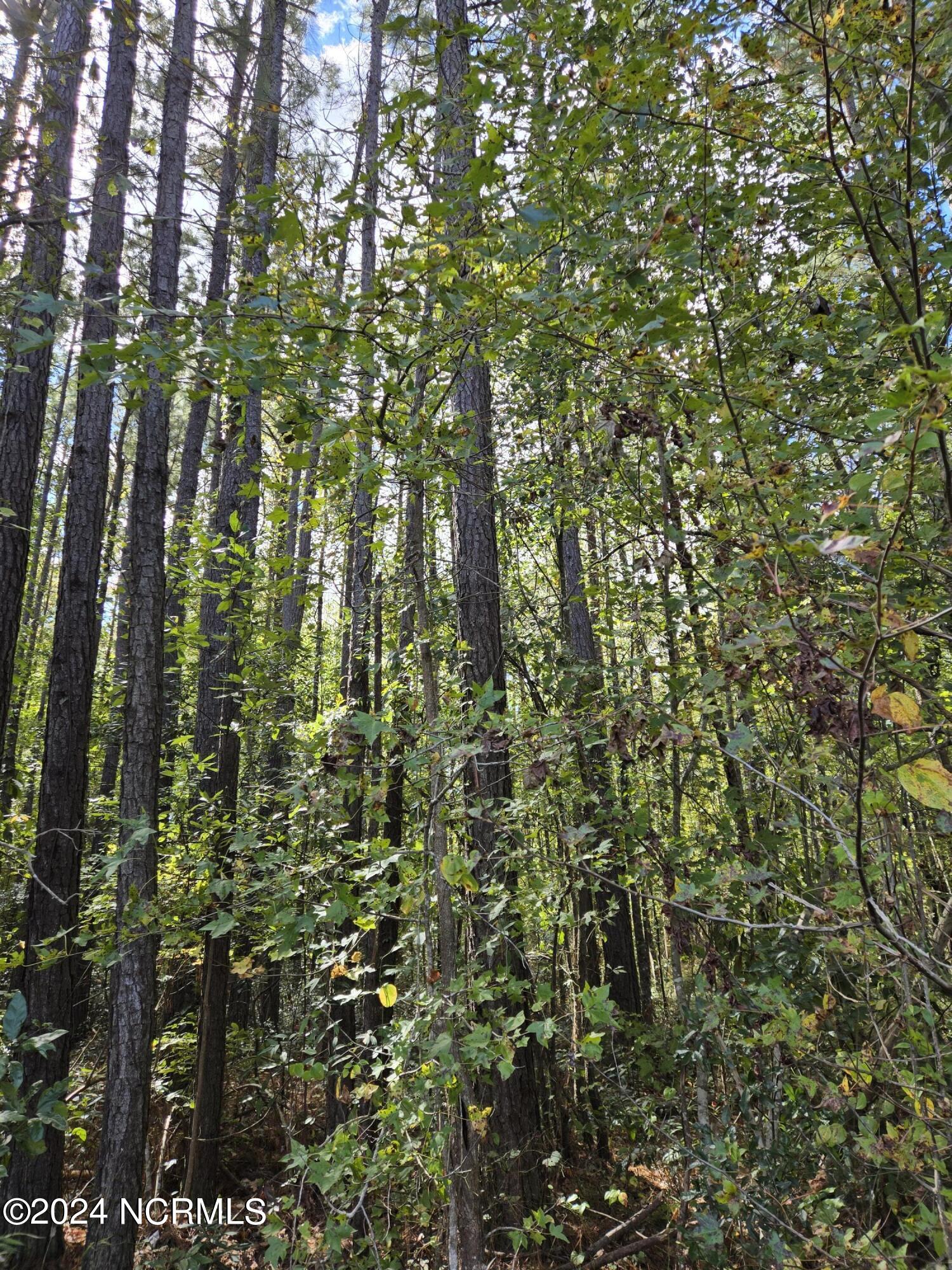 100471654 | Photo 13