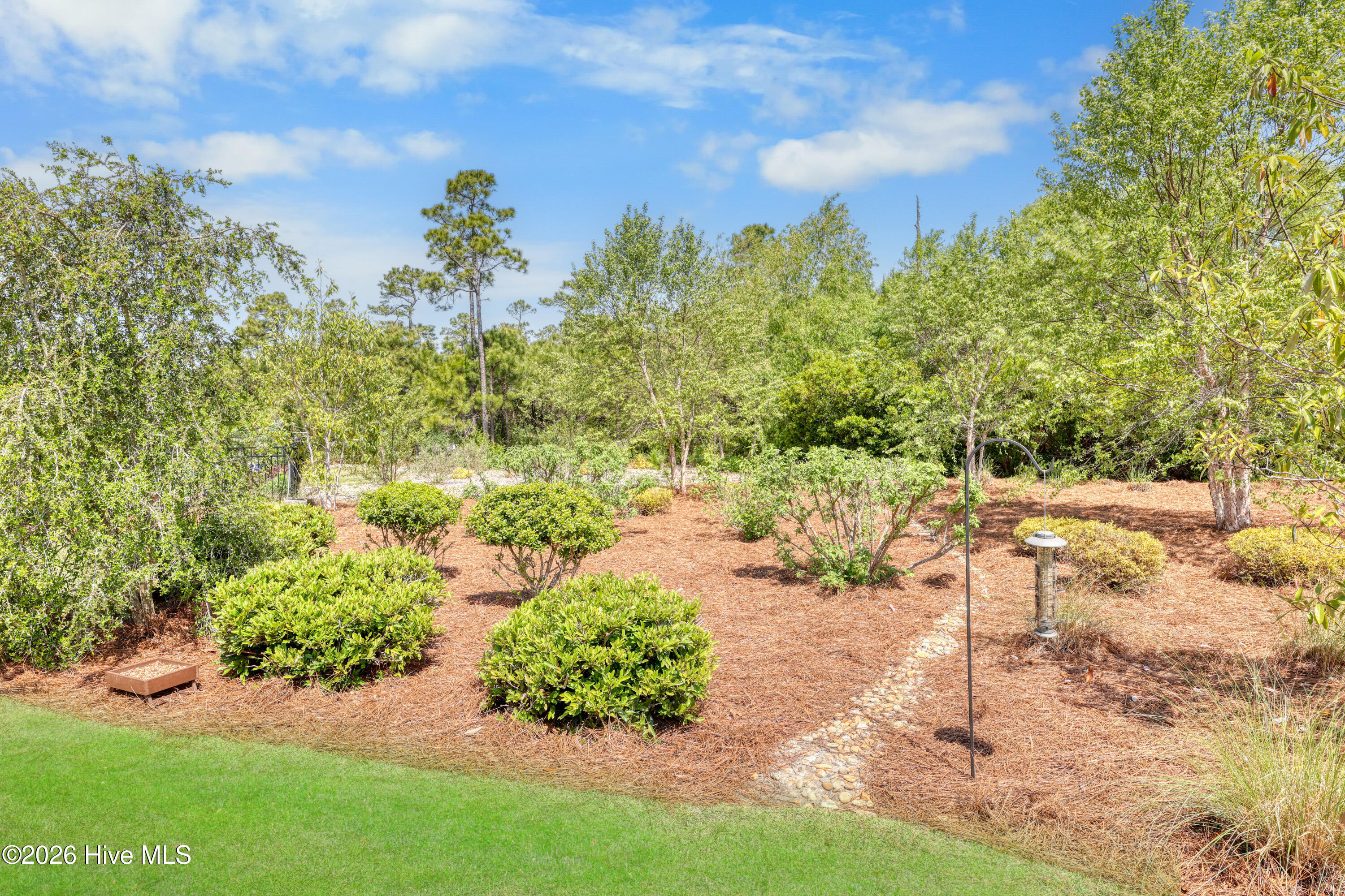 100569596 | Photo 41