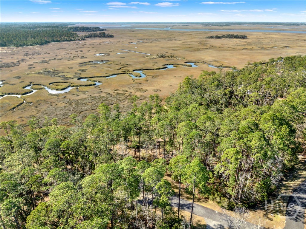 Homes for sale in Townsend, GA | 0 Sapelo Cir Ne, Townsend, GA 31331 | MLS# SA347659