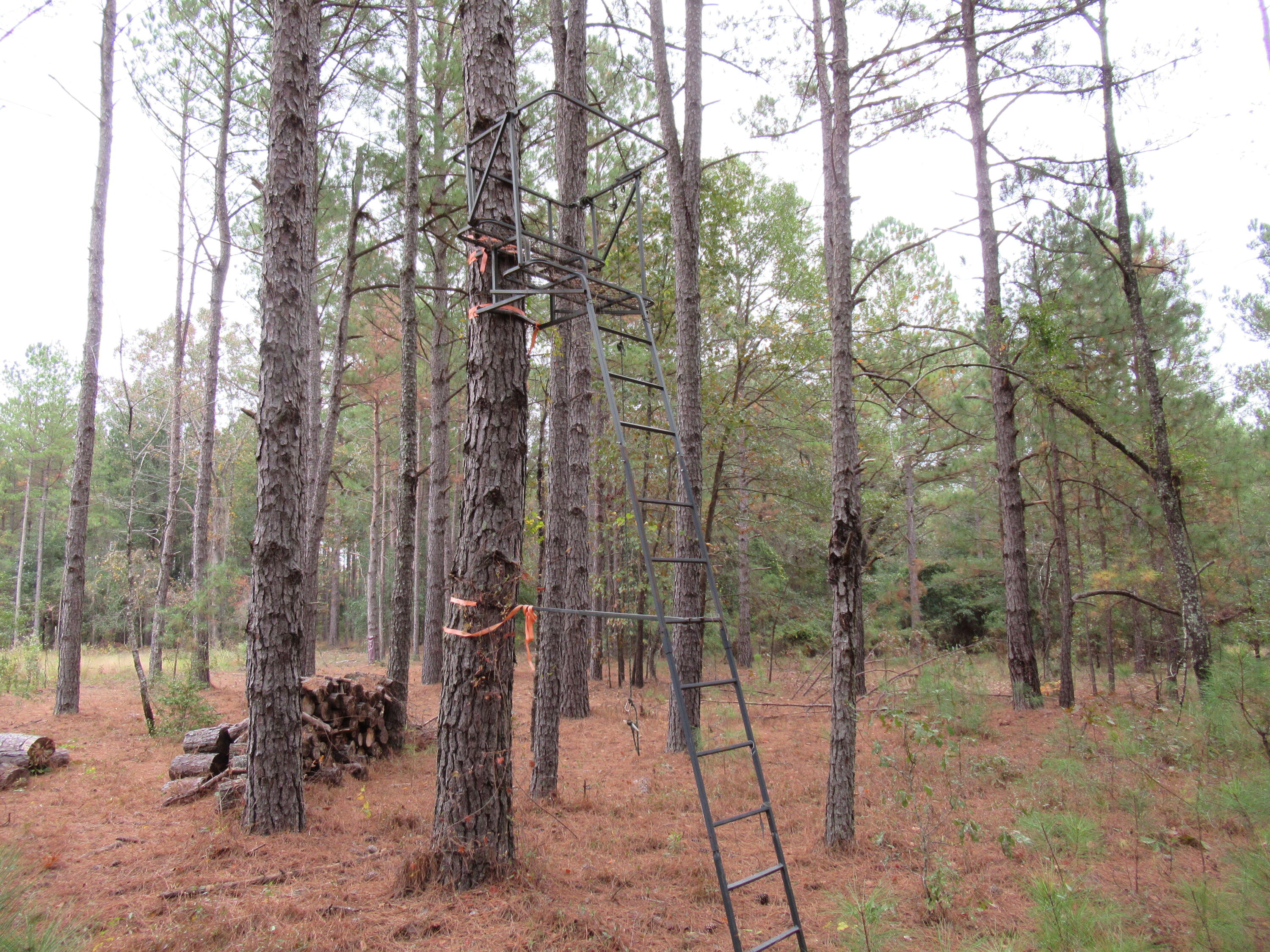 0 TWIN PINES RD., Keysville, GA, 30816