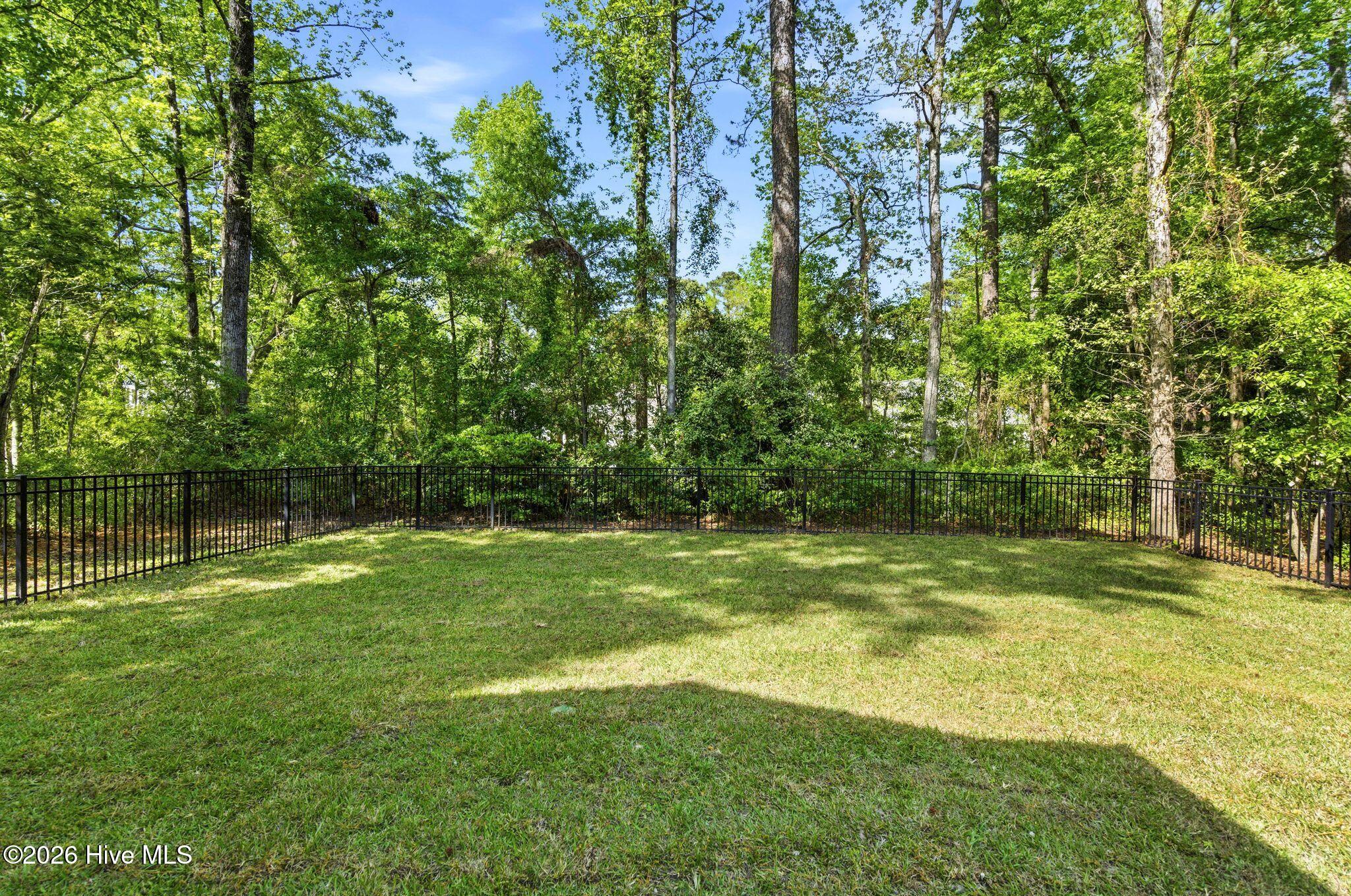 100567139 | Photo 53