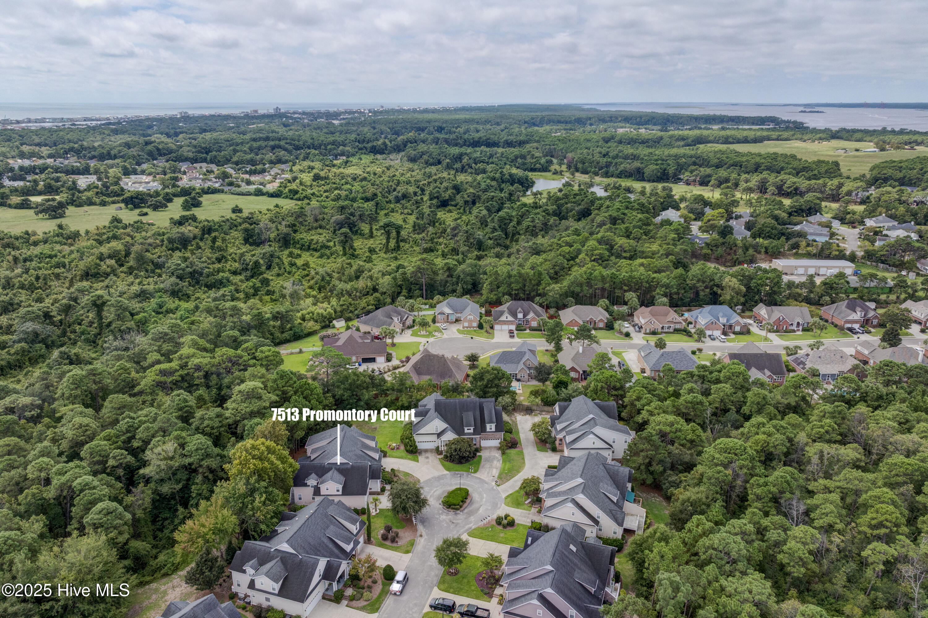 100526585 | Photo 64