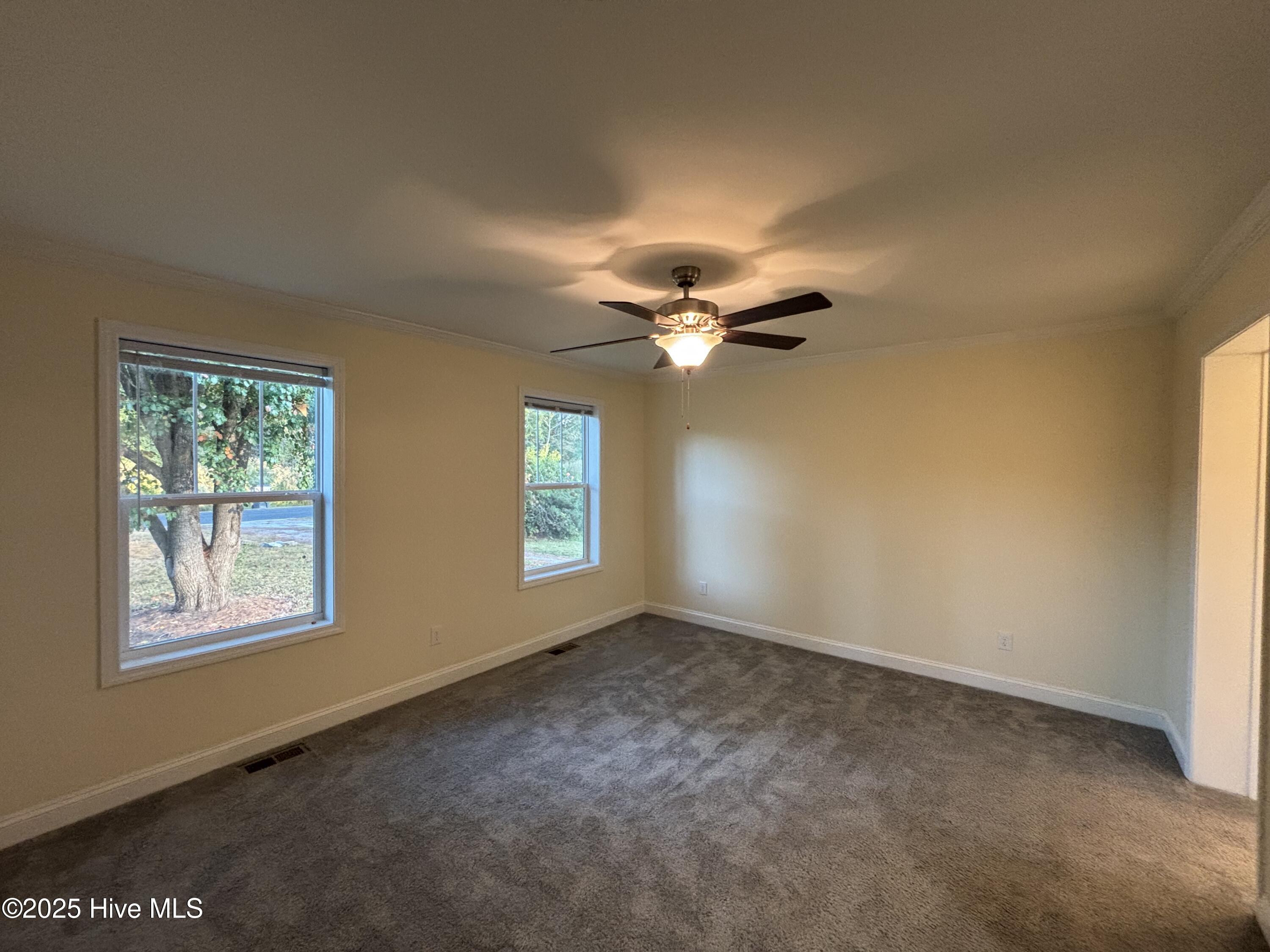 100540398 | Photo 22