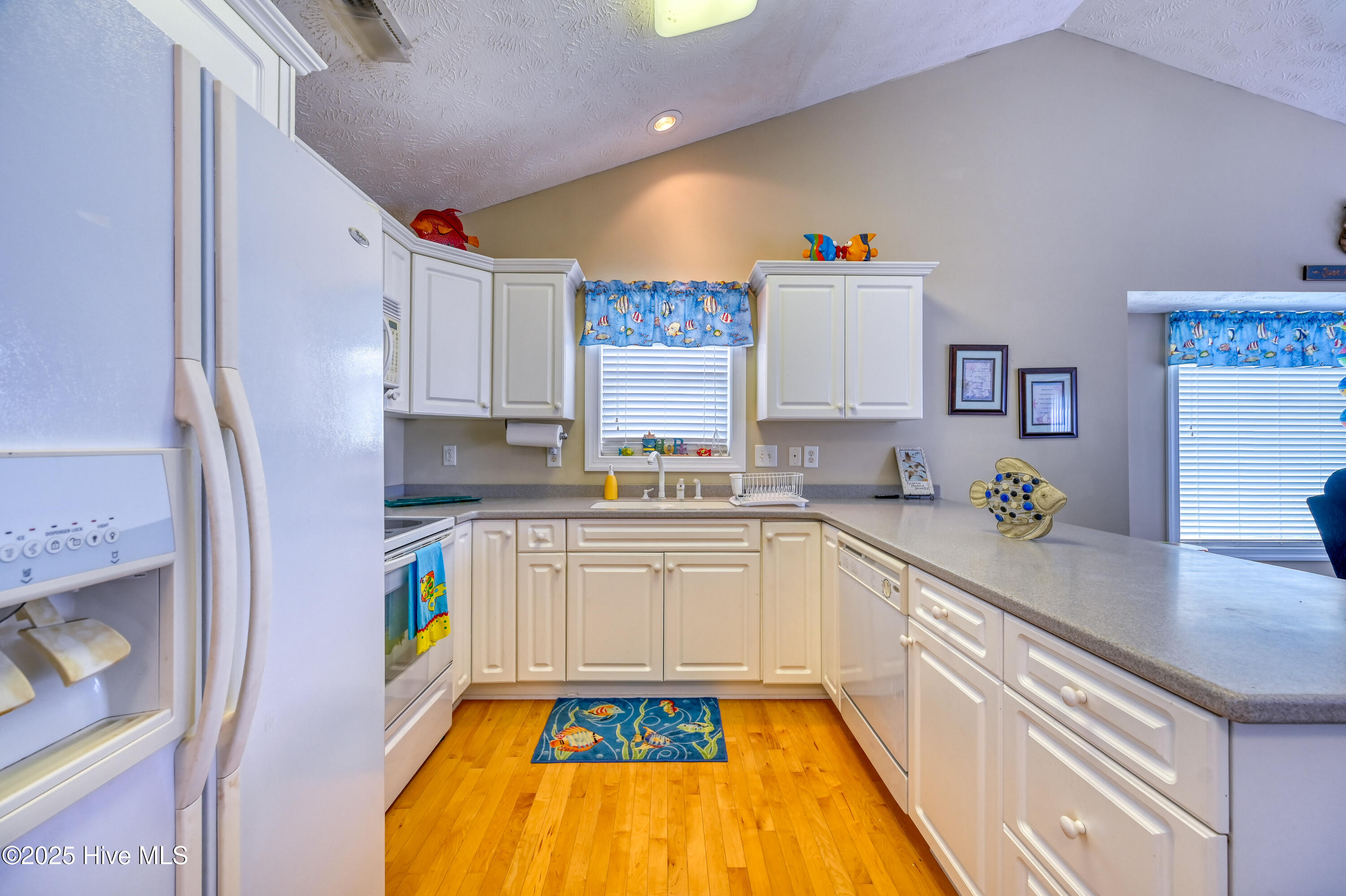 100502638 | Photo 19