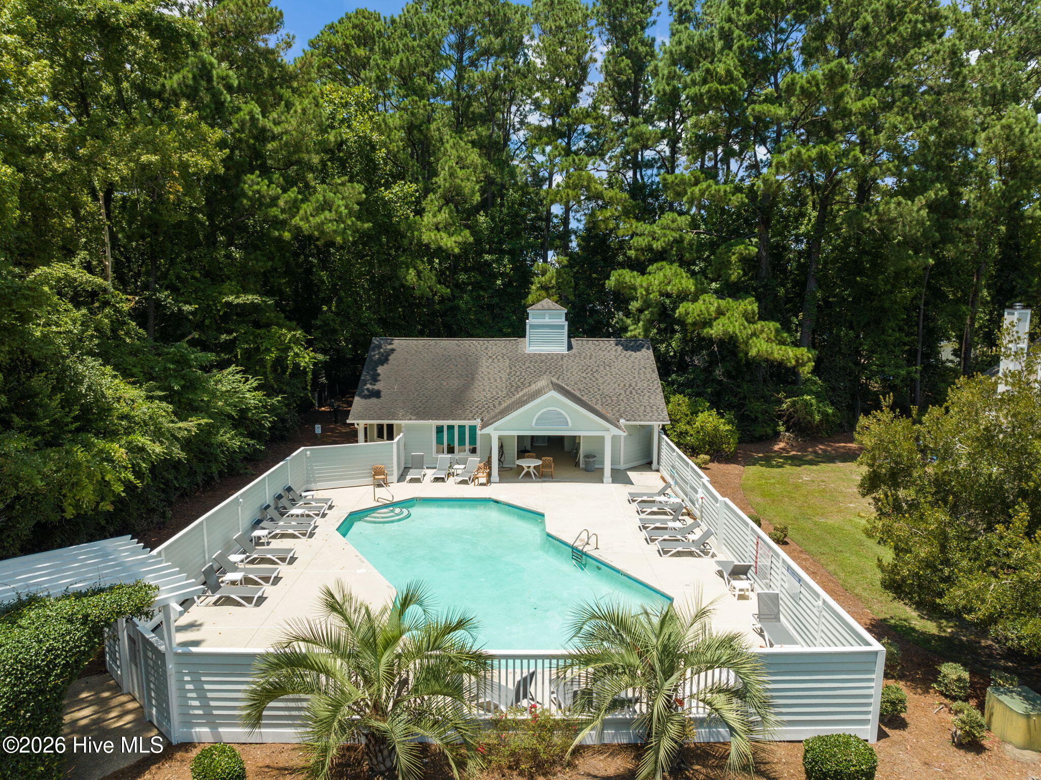 100558805 | Photo 34