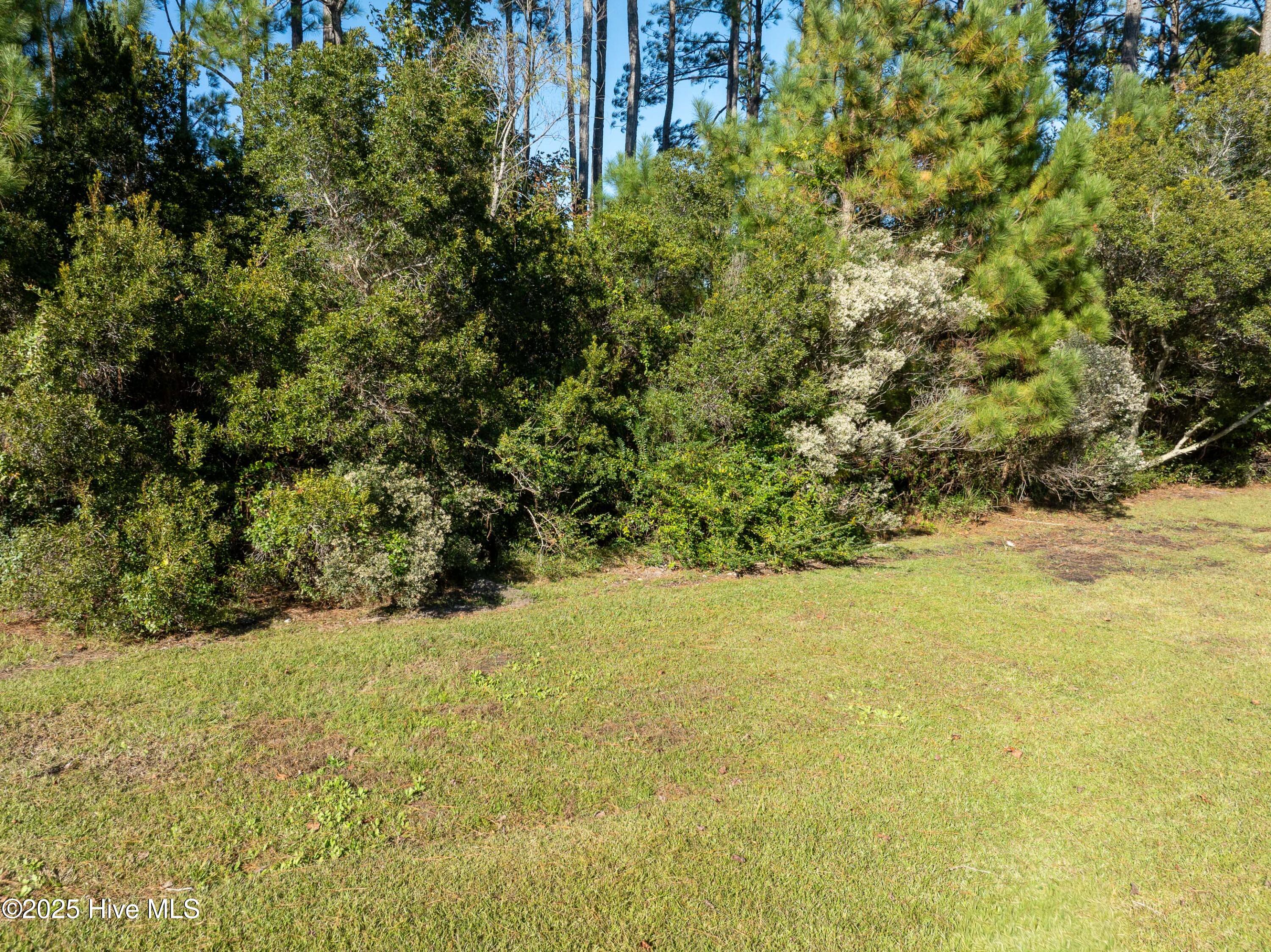 100501651 | Photo 28