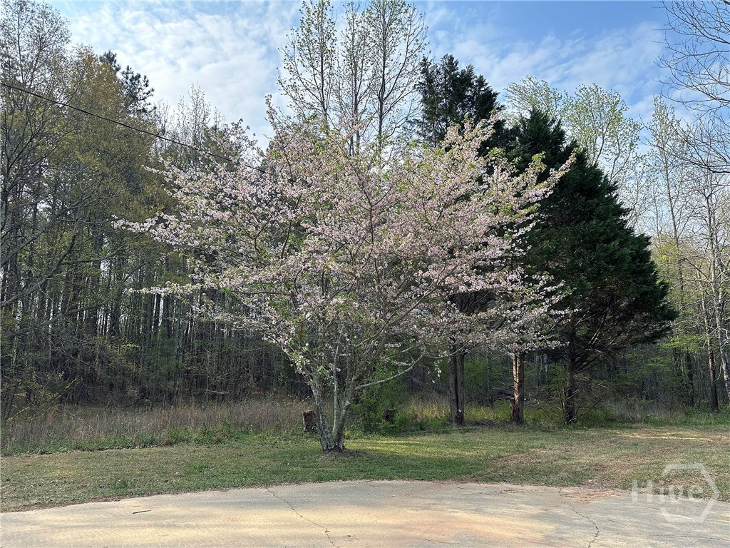 1104 Farm Road, Colbert, GA, 30628