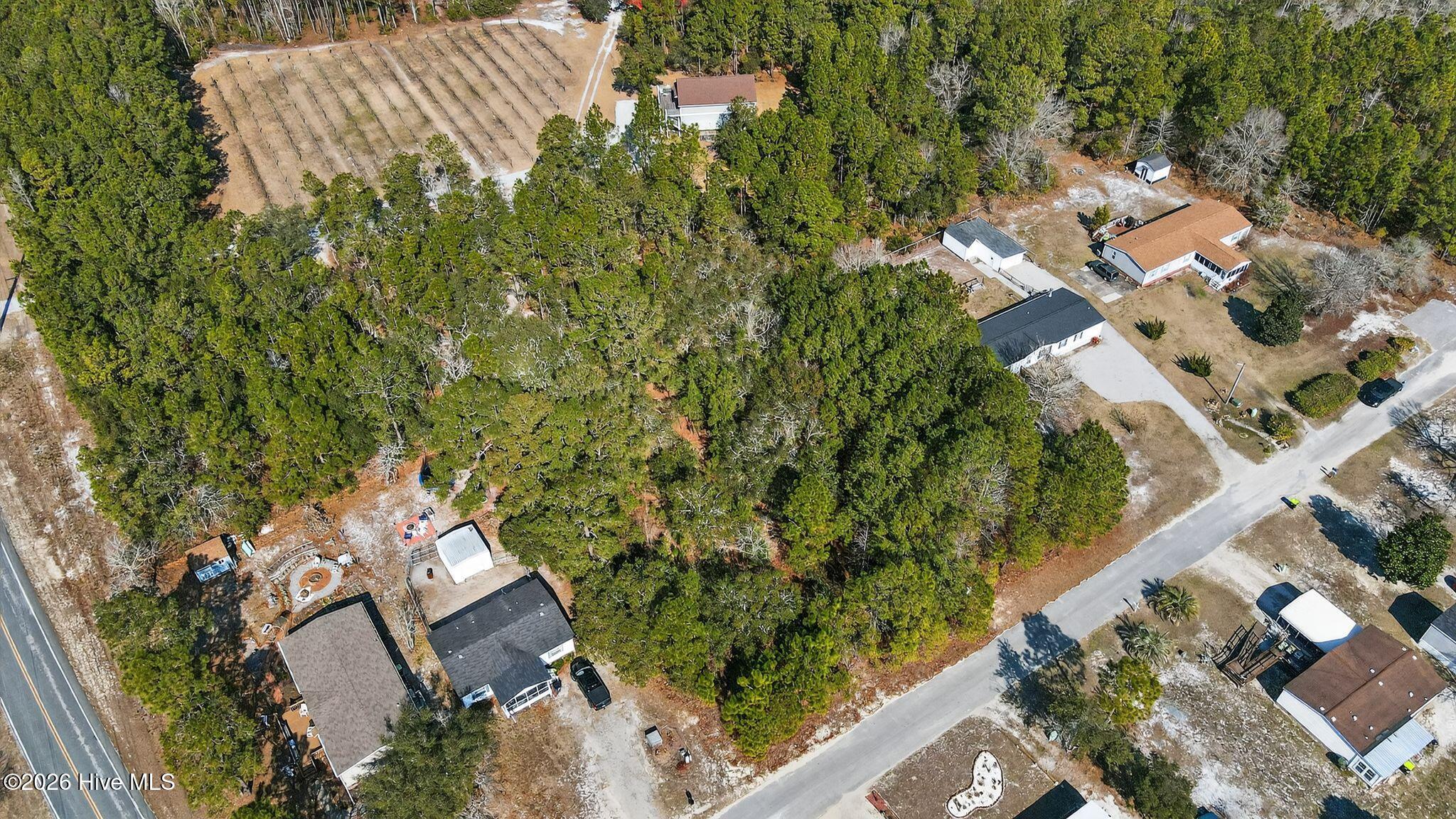 100554556 | Photo 15