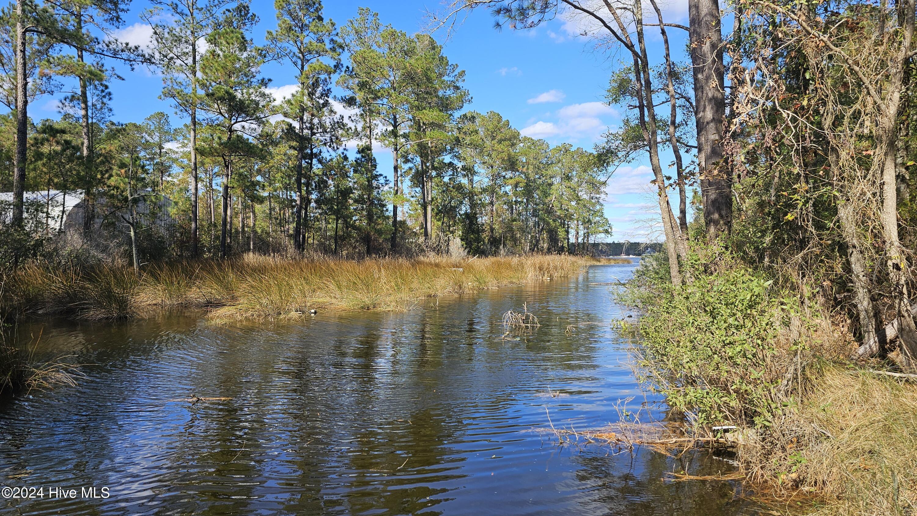 0 Barnes Foster Loop, Belhaven, North Carolina, 0 ,Residential land,For sale,Barnes Foster Loop,100476416