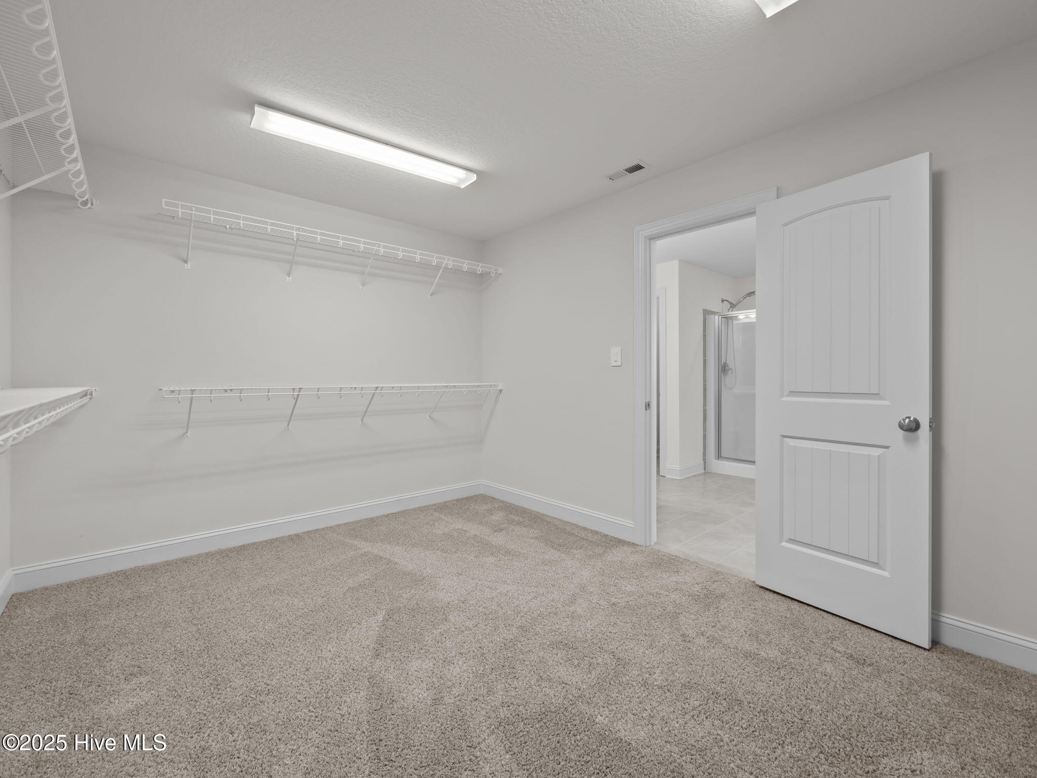 100536873 | Photo 38