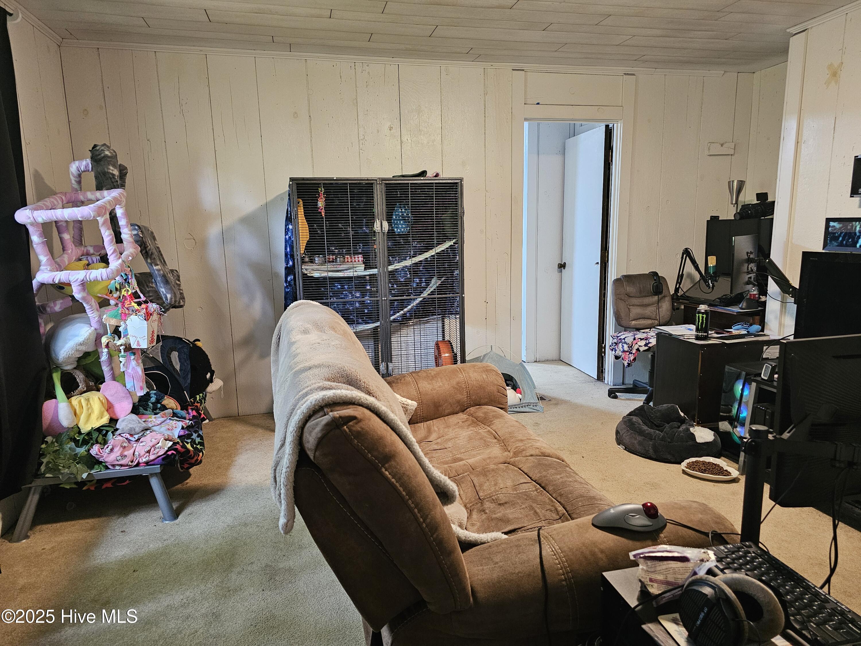 100531382 | Photo 16