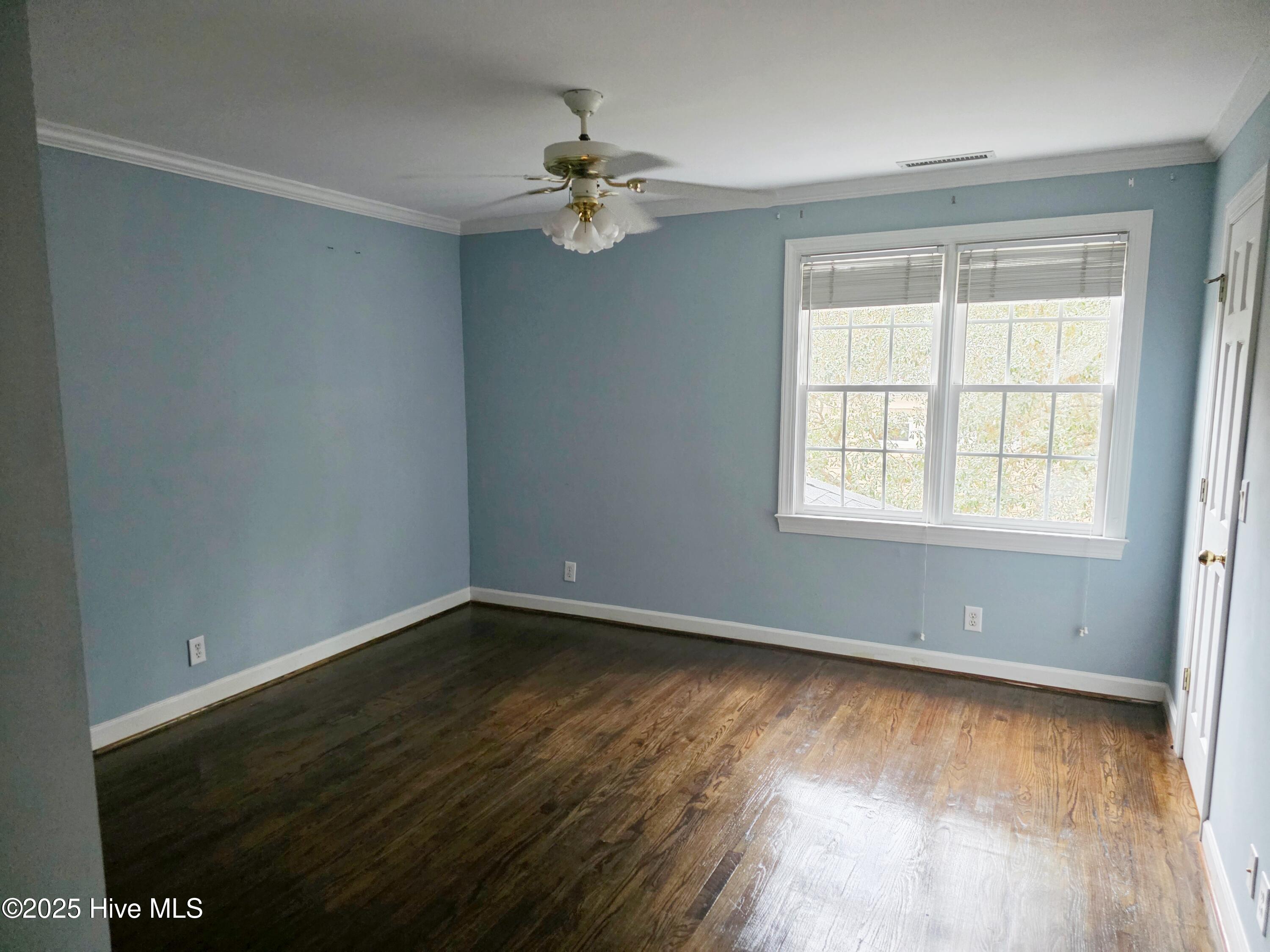 100536215 | Photo 45