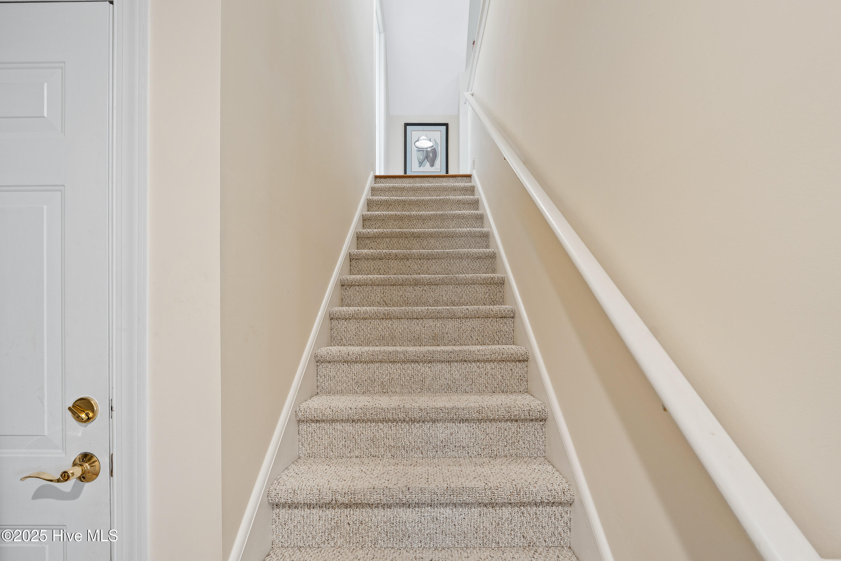 100537803 | Photo 34