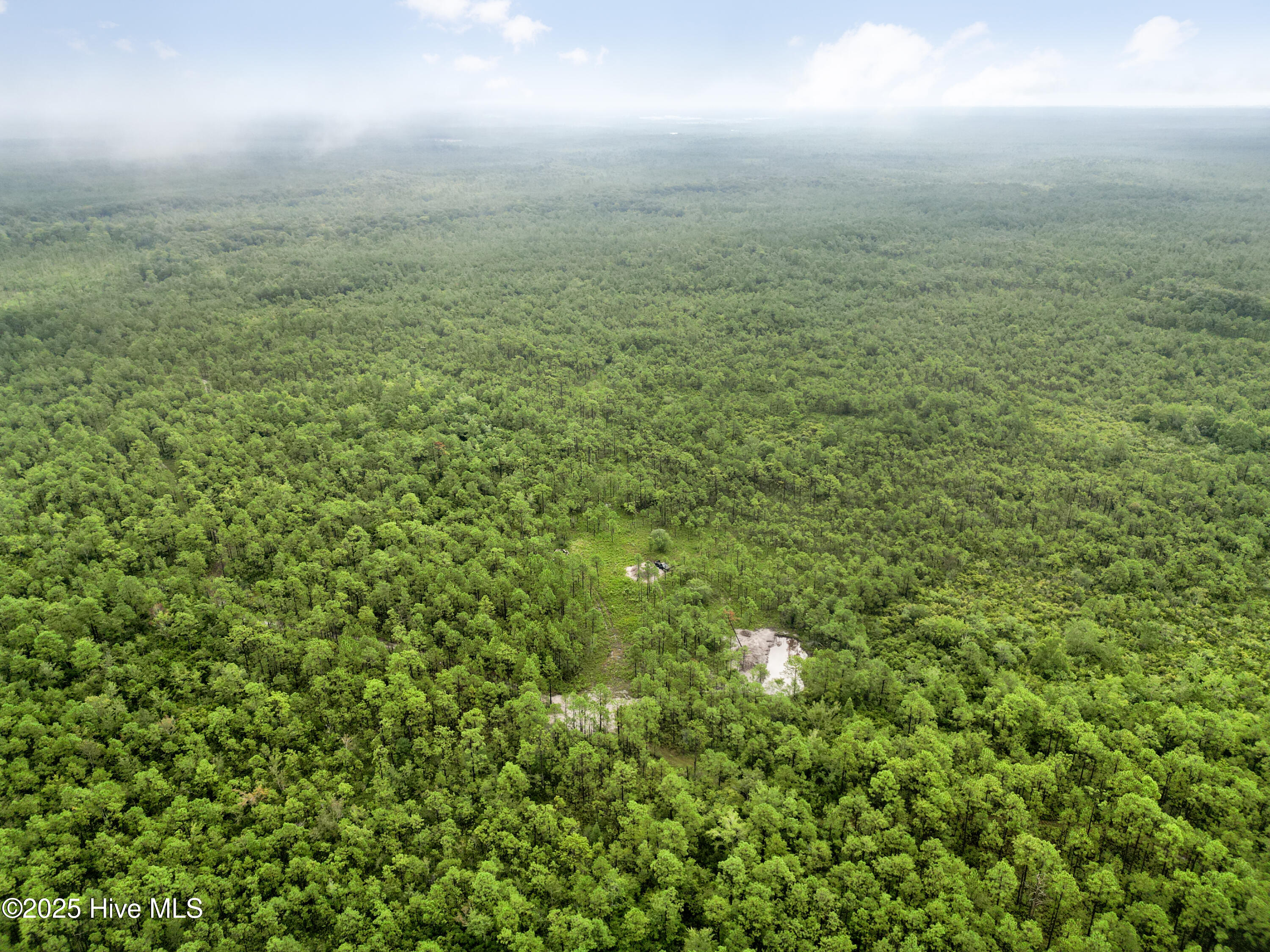 100525966 | Photo 18