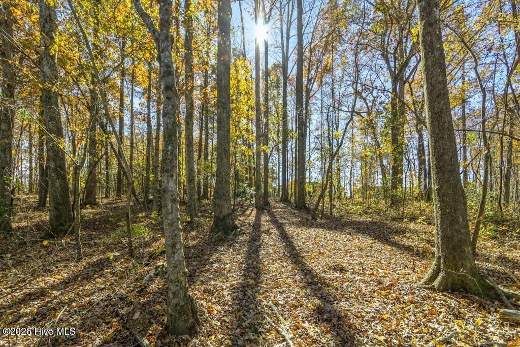 80 Paddocks Court, Zebulon, NC, 27597