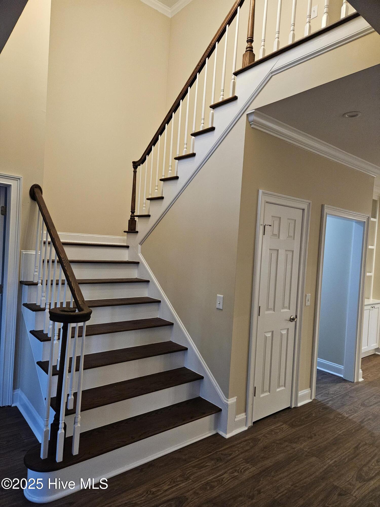 100545247 | Photo 13