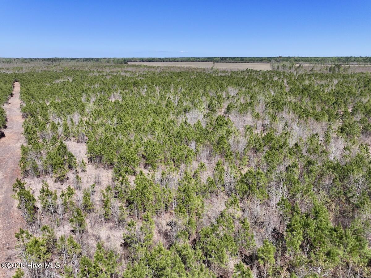 0 Guinea Mill Road, Ernul, NC, 28527