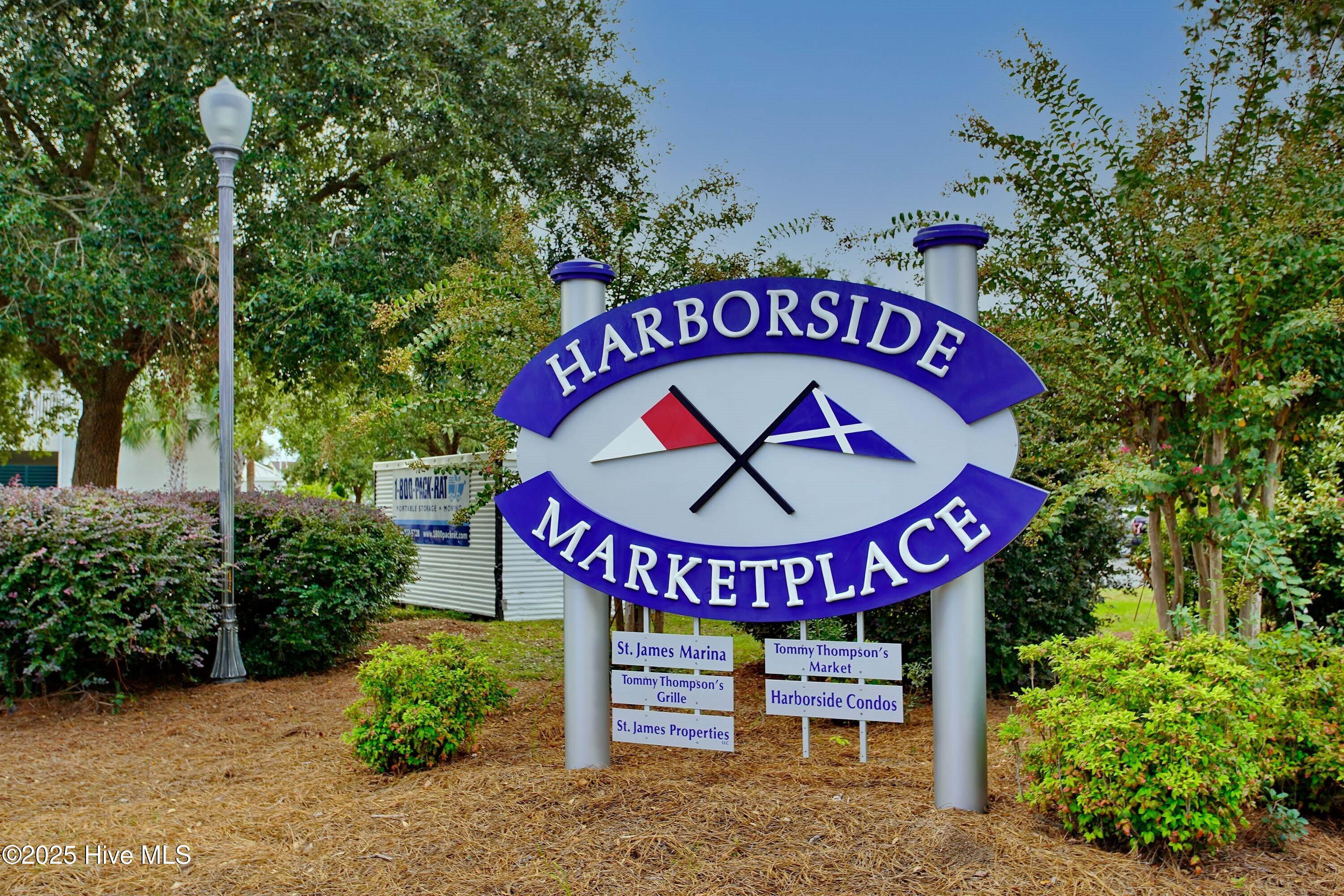 100553143 | Photo 48