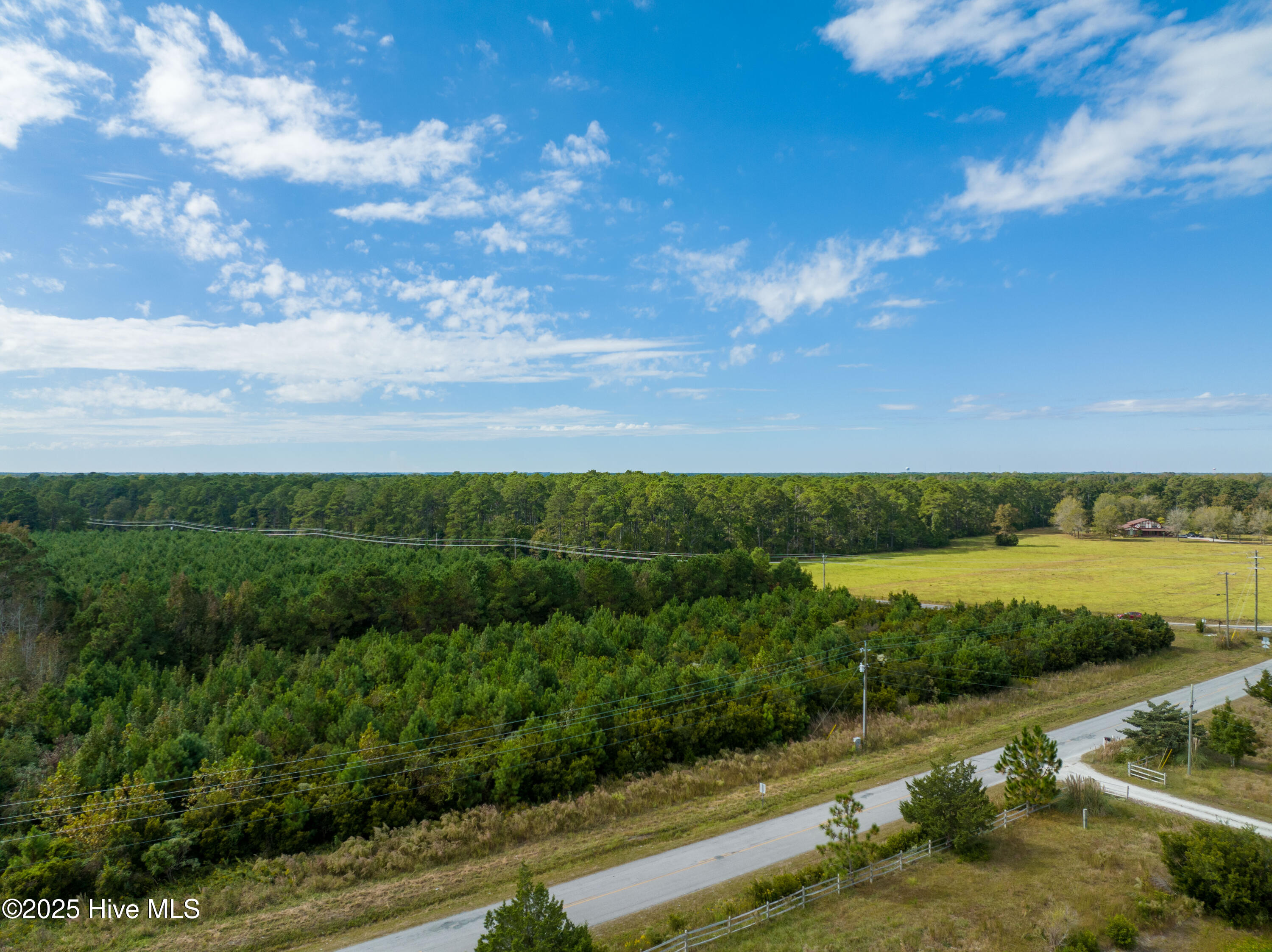 100492776 | Photo 11