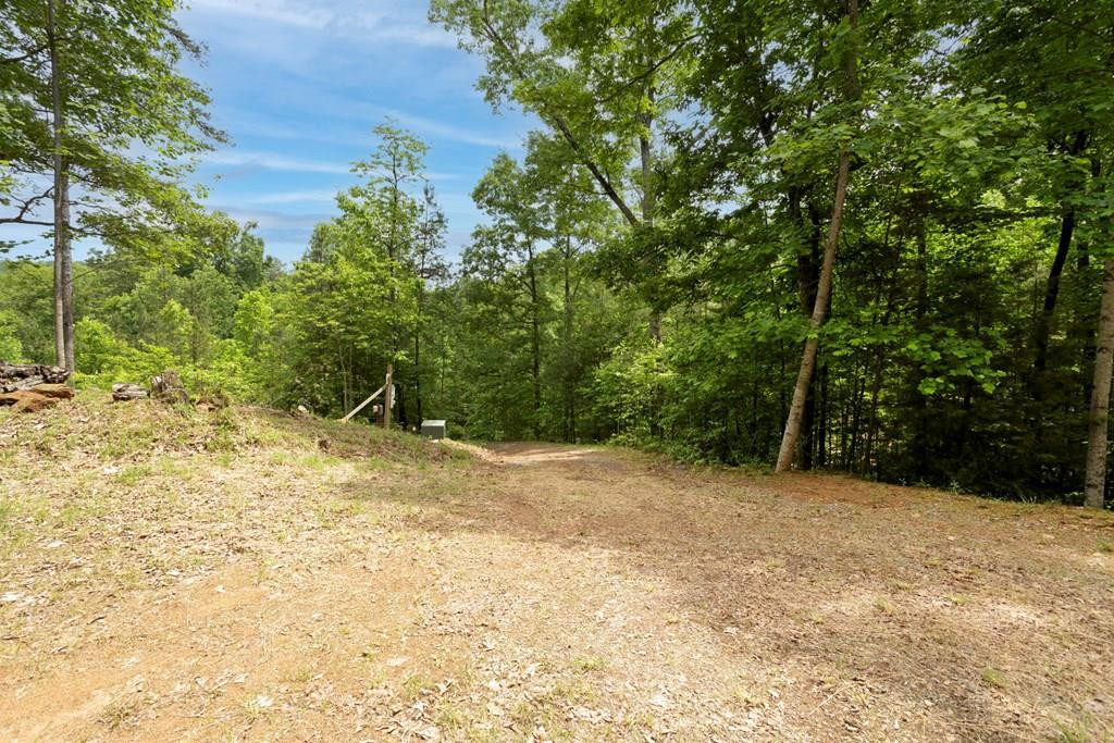 62 Green Cove Spur