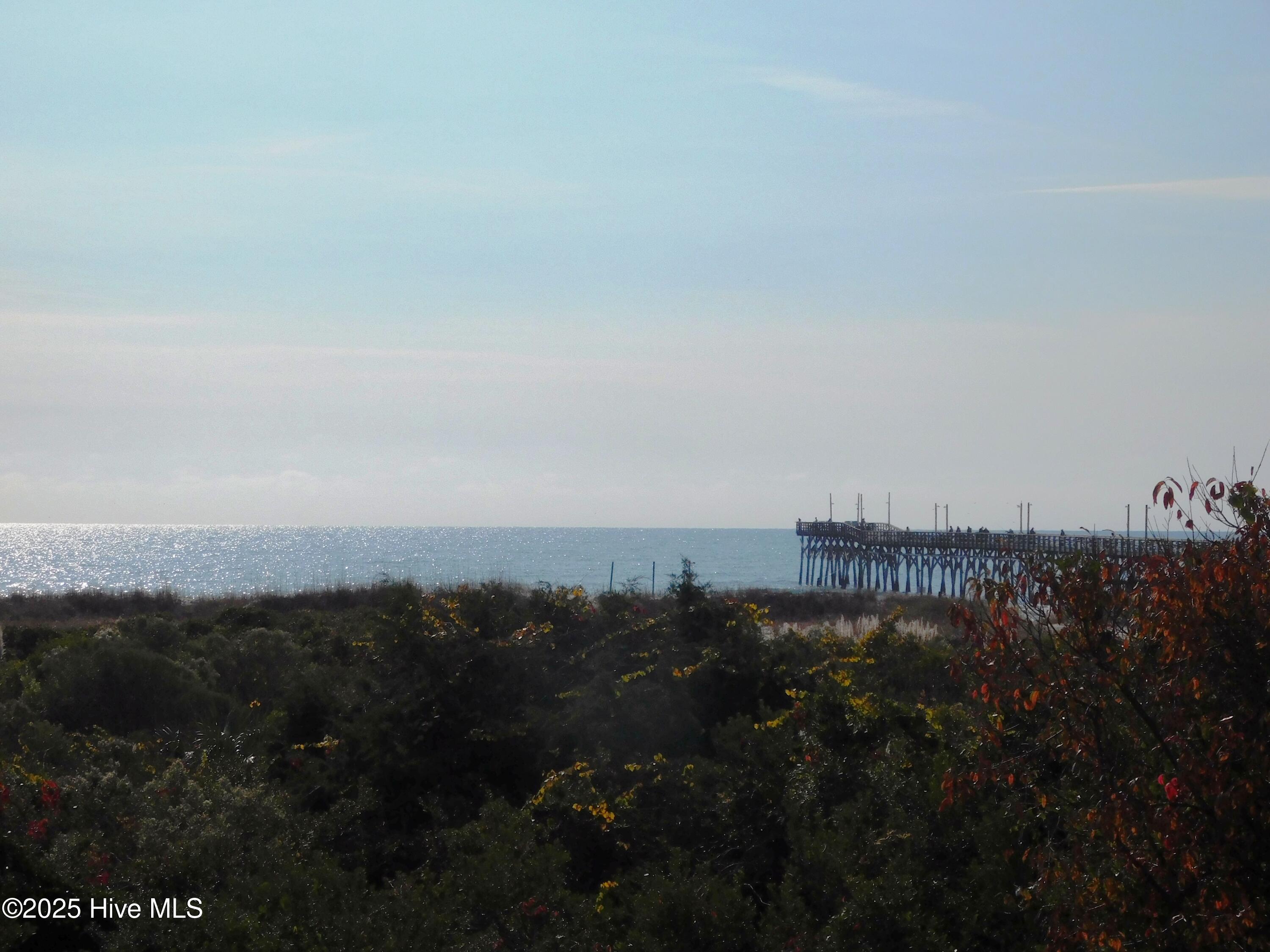 100542384 | Photo 12