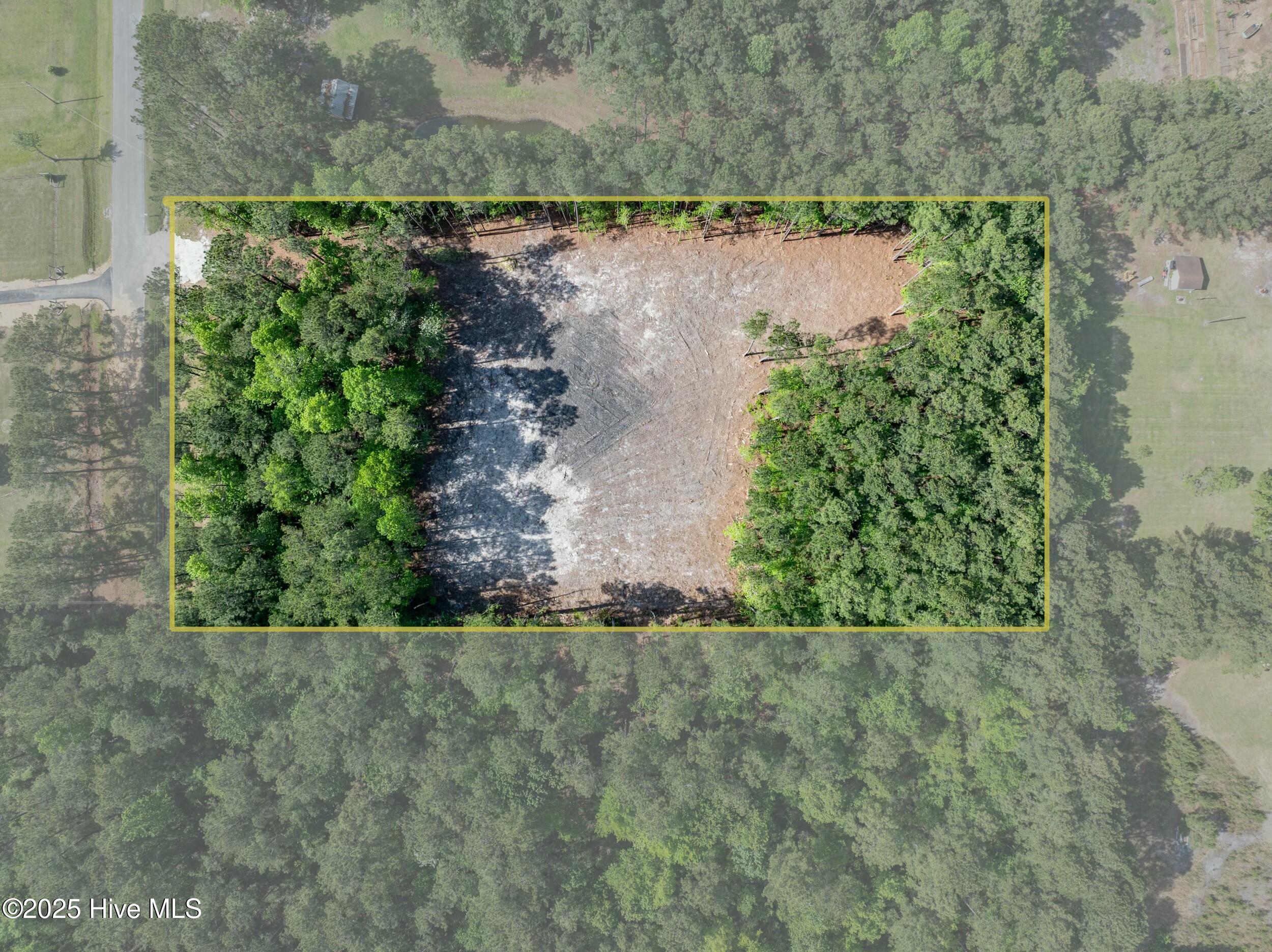 100503919 | Photo 17