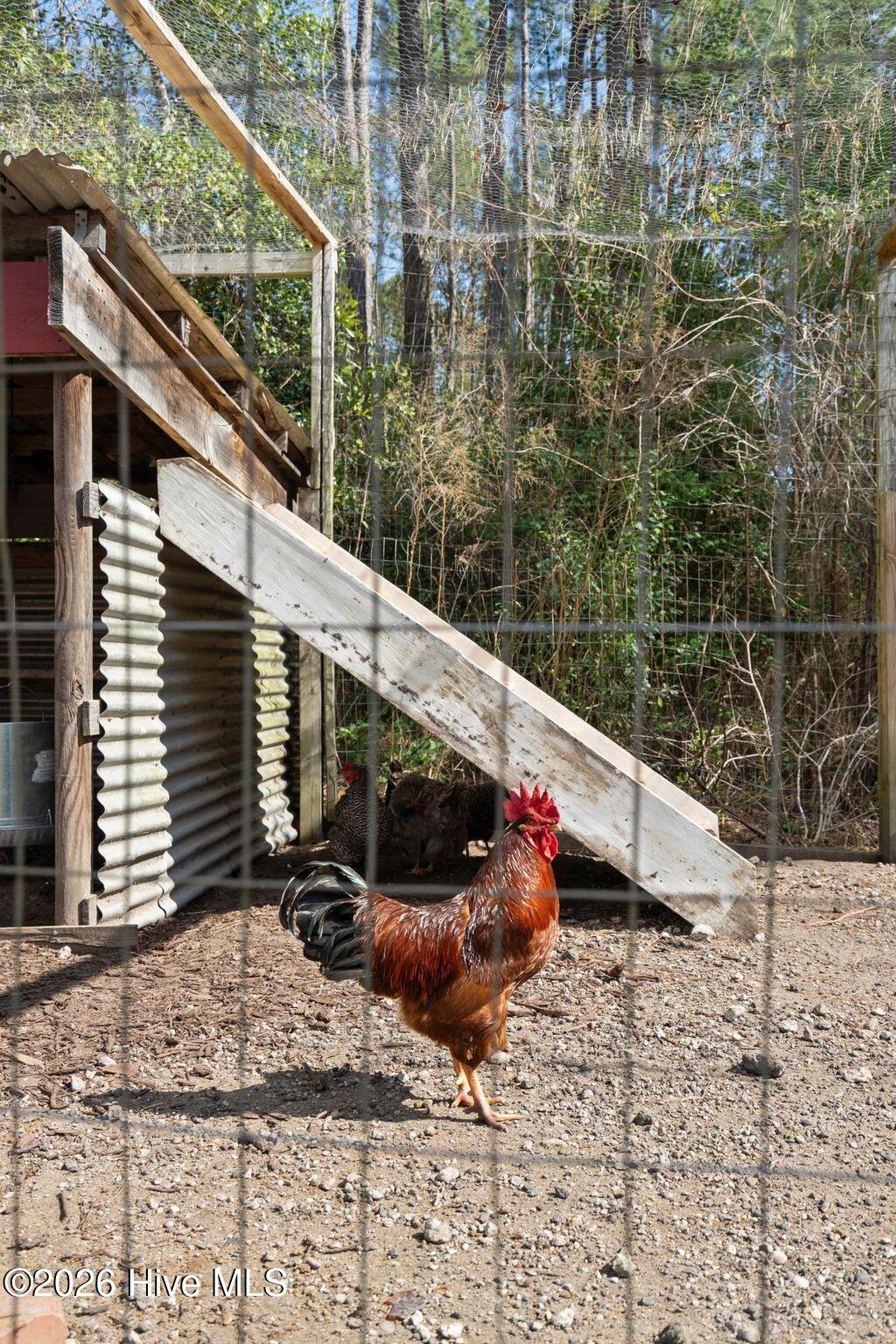 100559666 | Photo 100