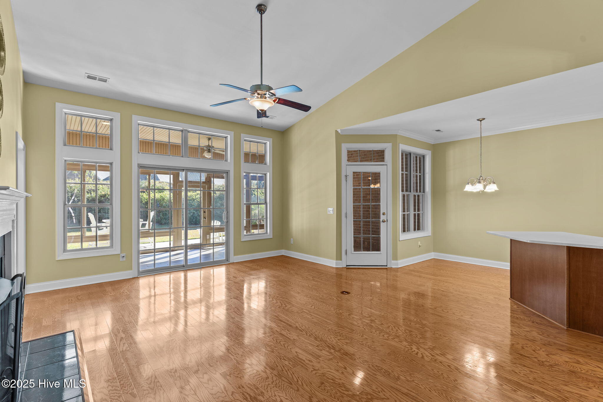 100541169 | Photo 11