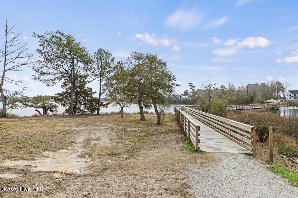 100558511 | Photo 40