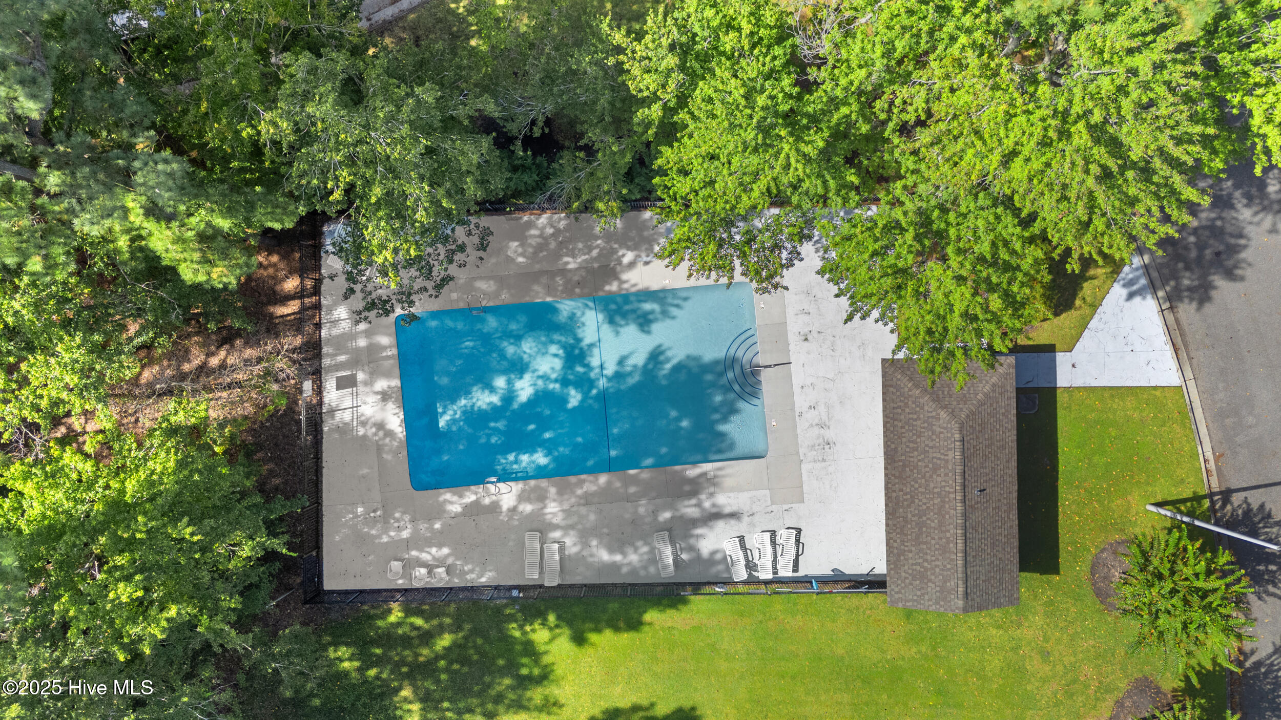 100534967 | Photo 22