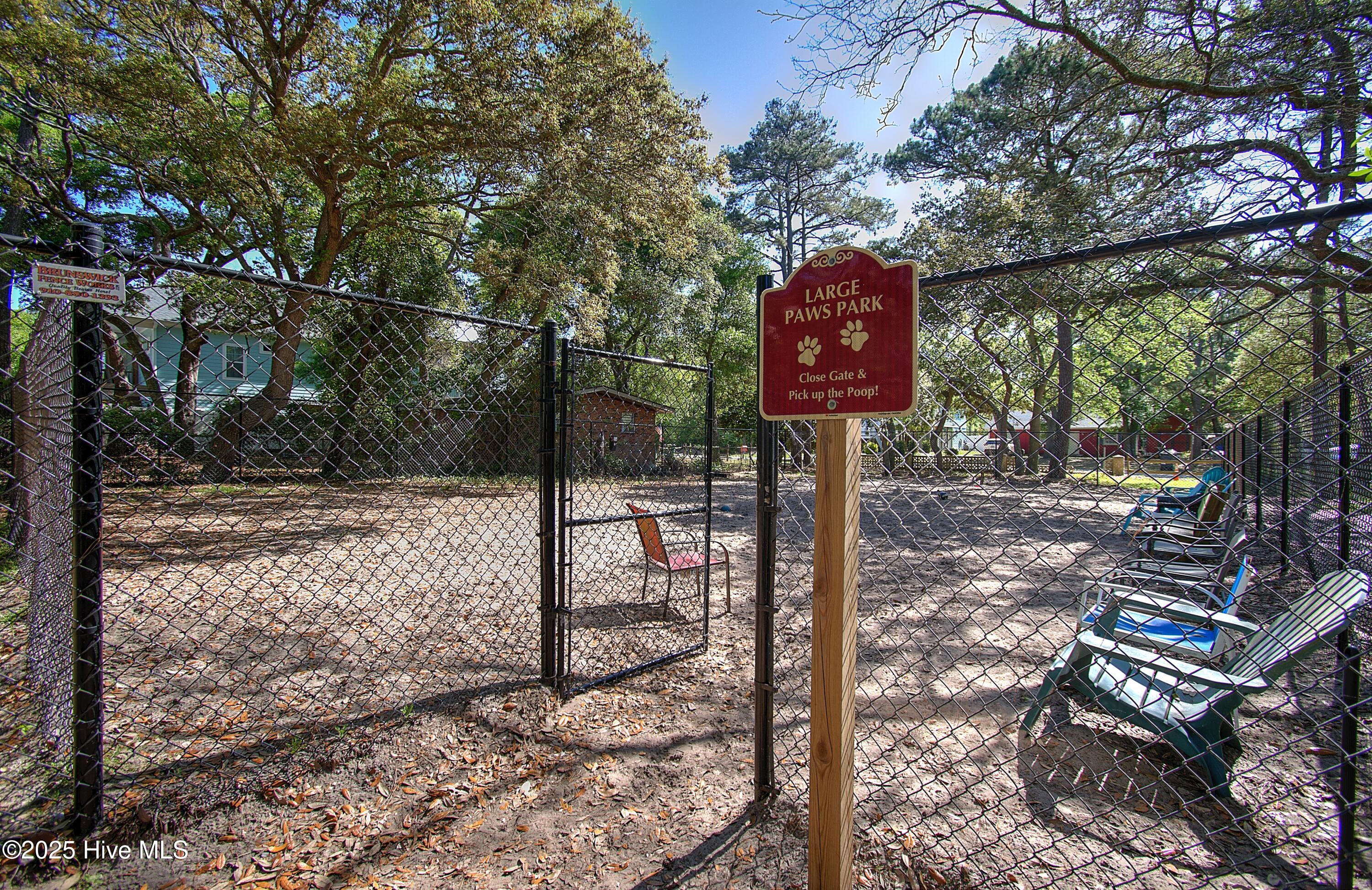 100564186 | Photo 60