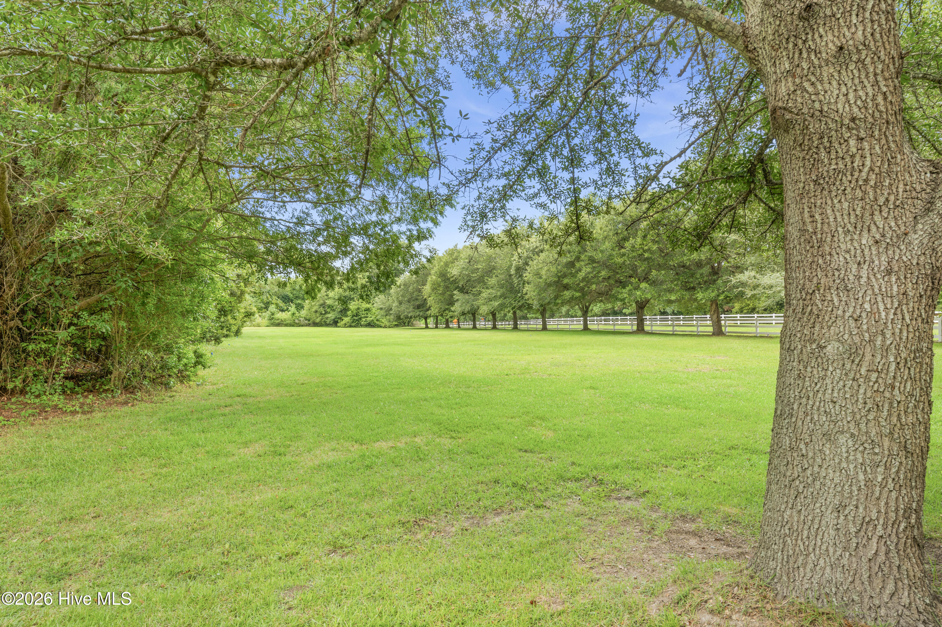 100567527 | Photo 17