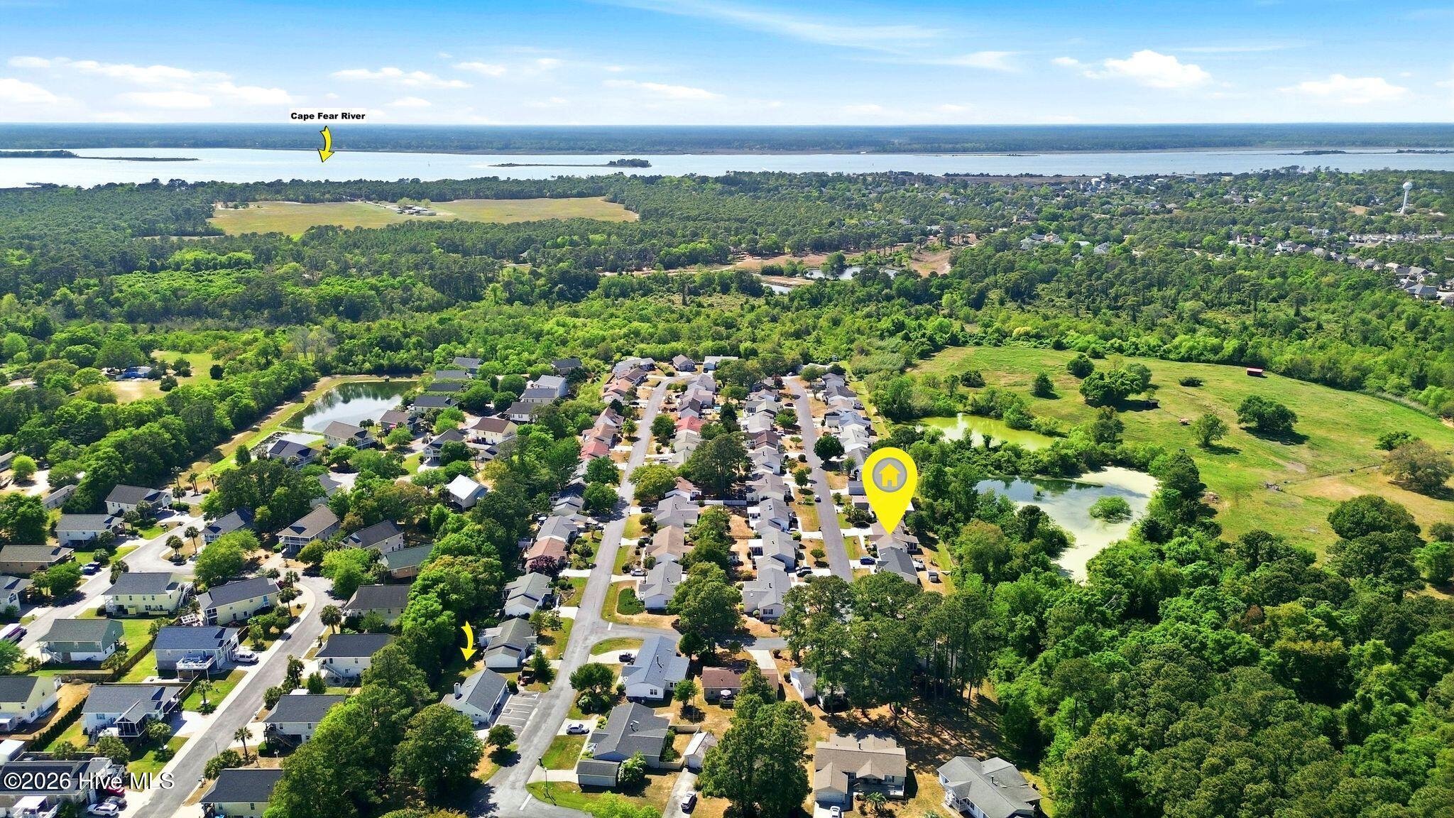 100567371 | Photo 64