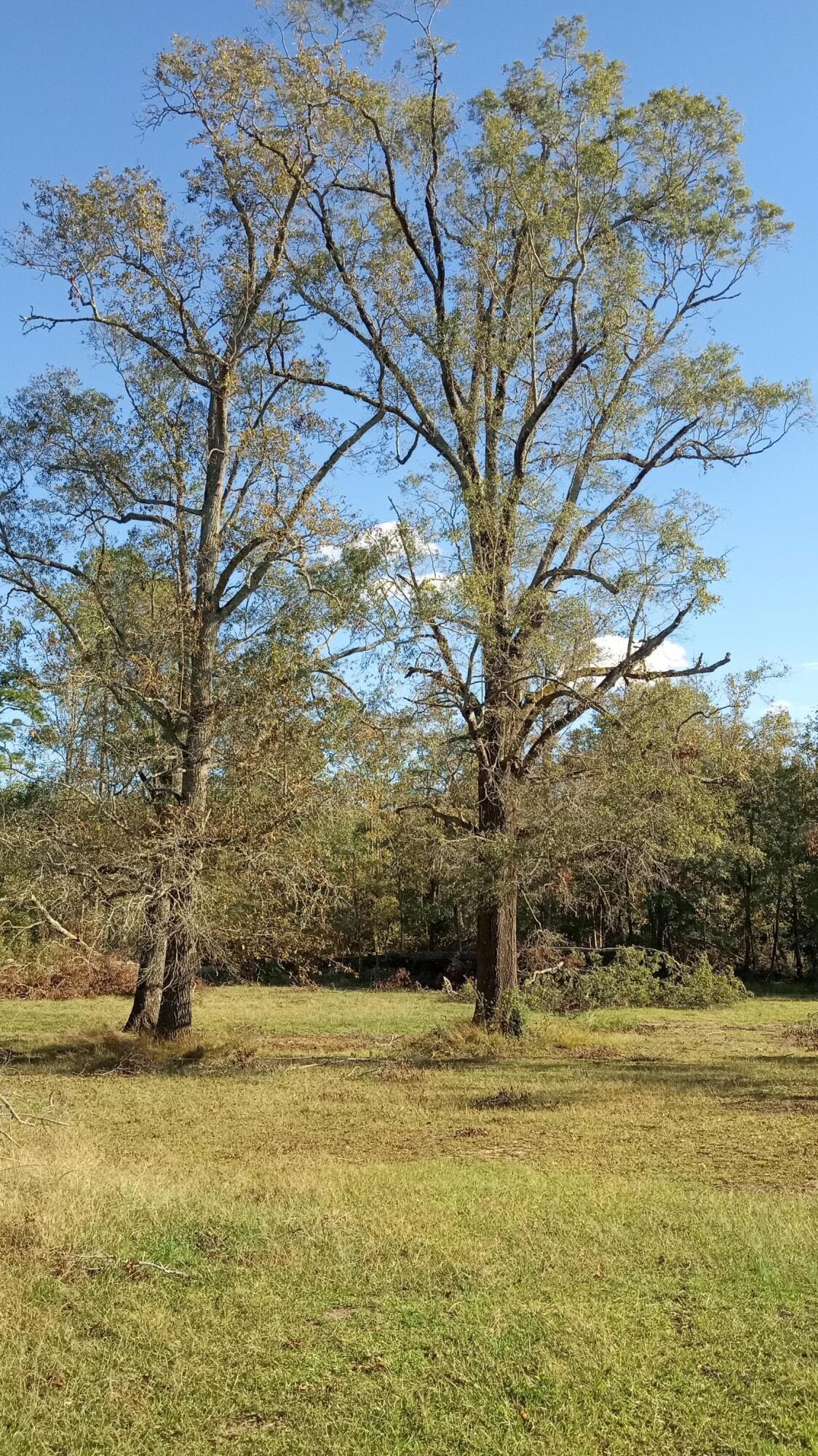 TBD2 SC-23, Edgefield, SC, 29824