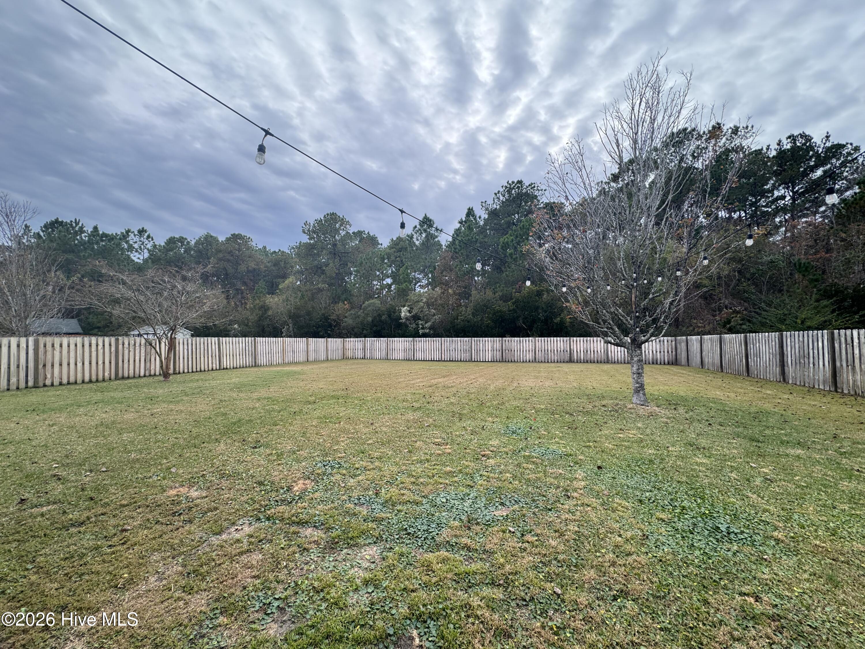 100549154 | Photo 36