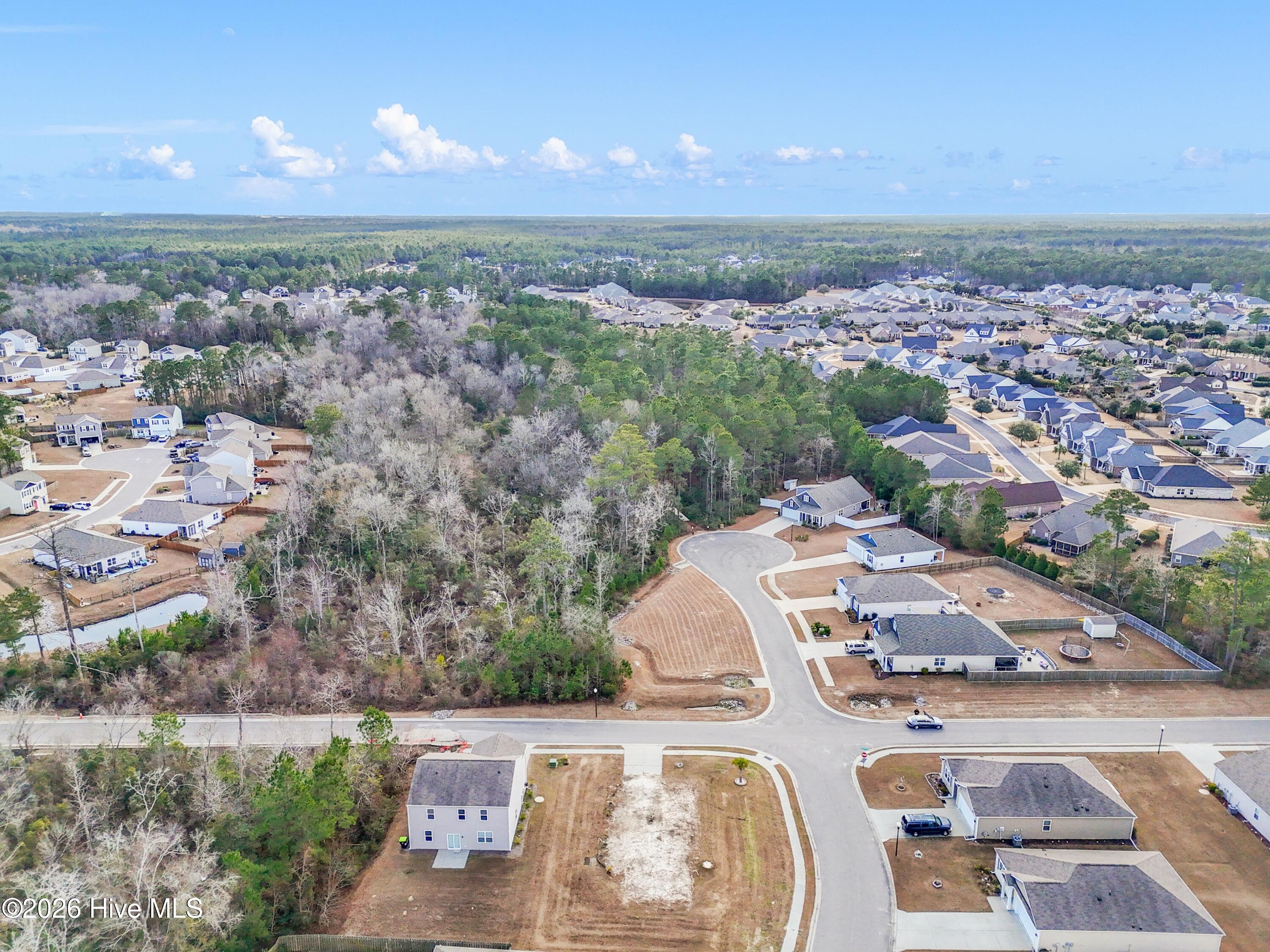 100551003 | Photo 17