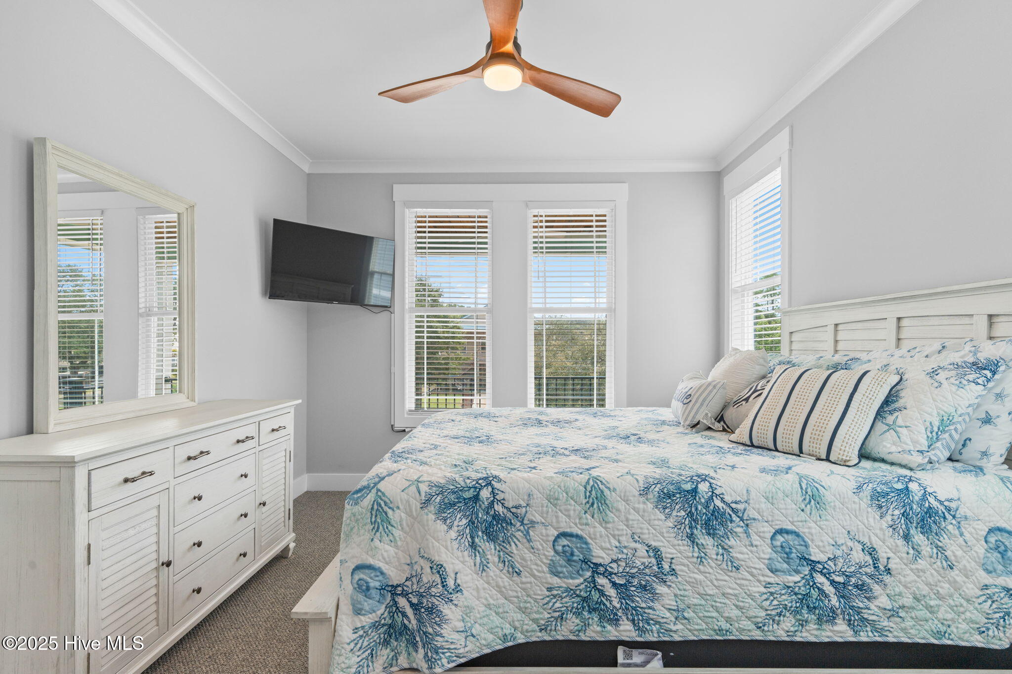 100527753 | Photo 56