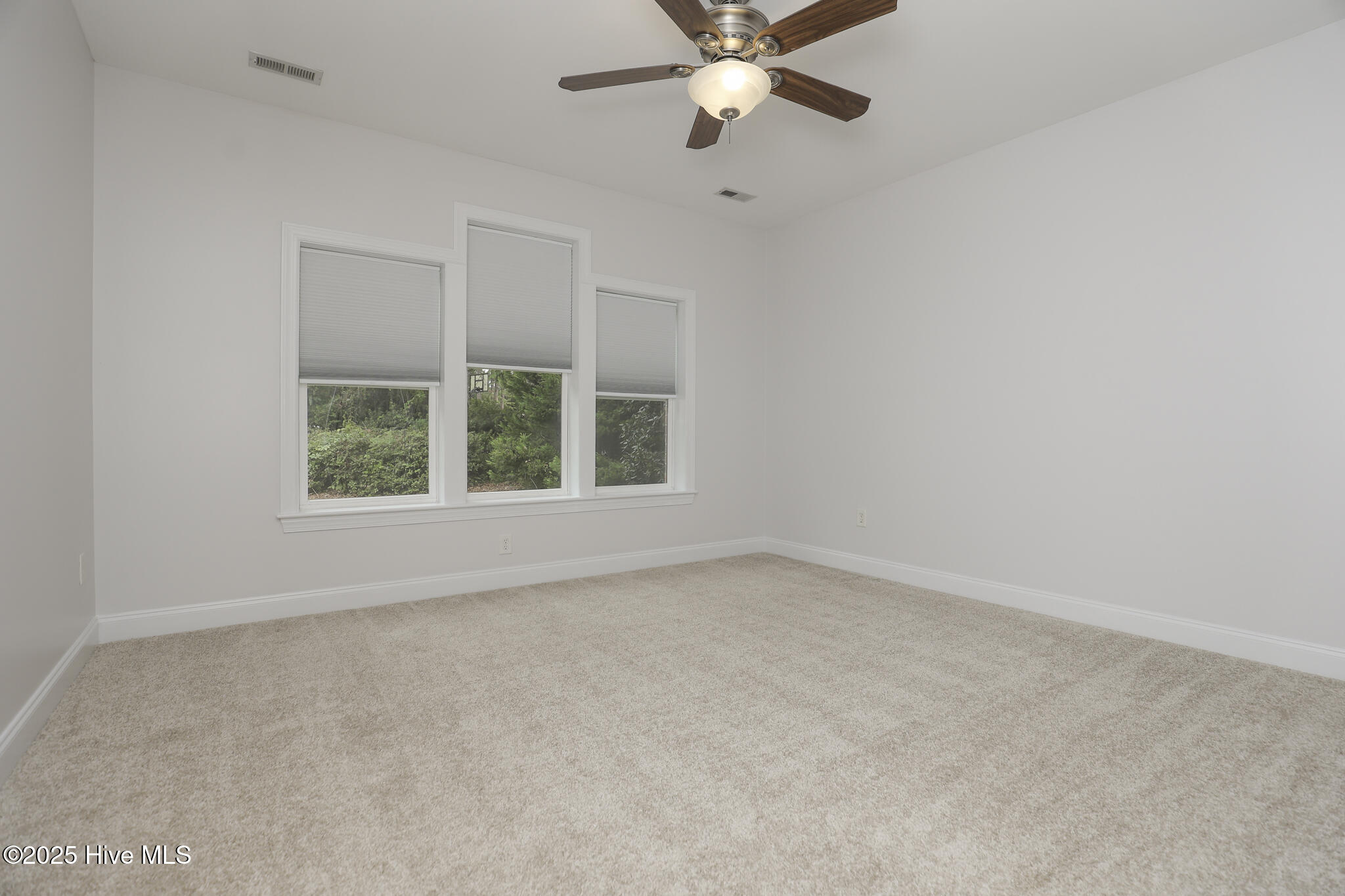 100530782 | Photo 20