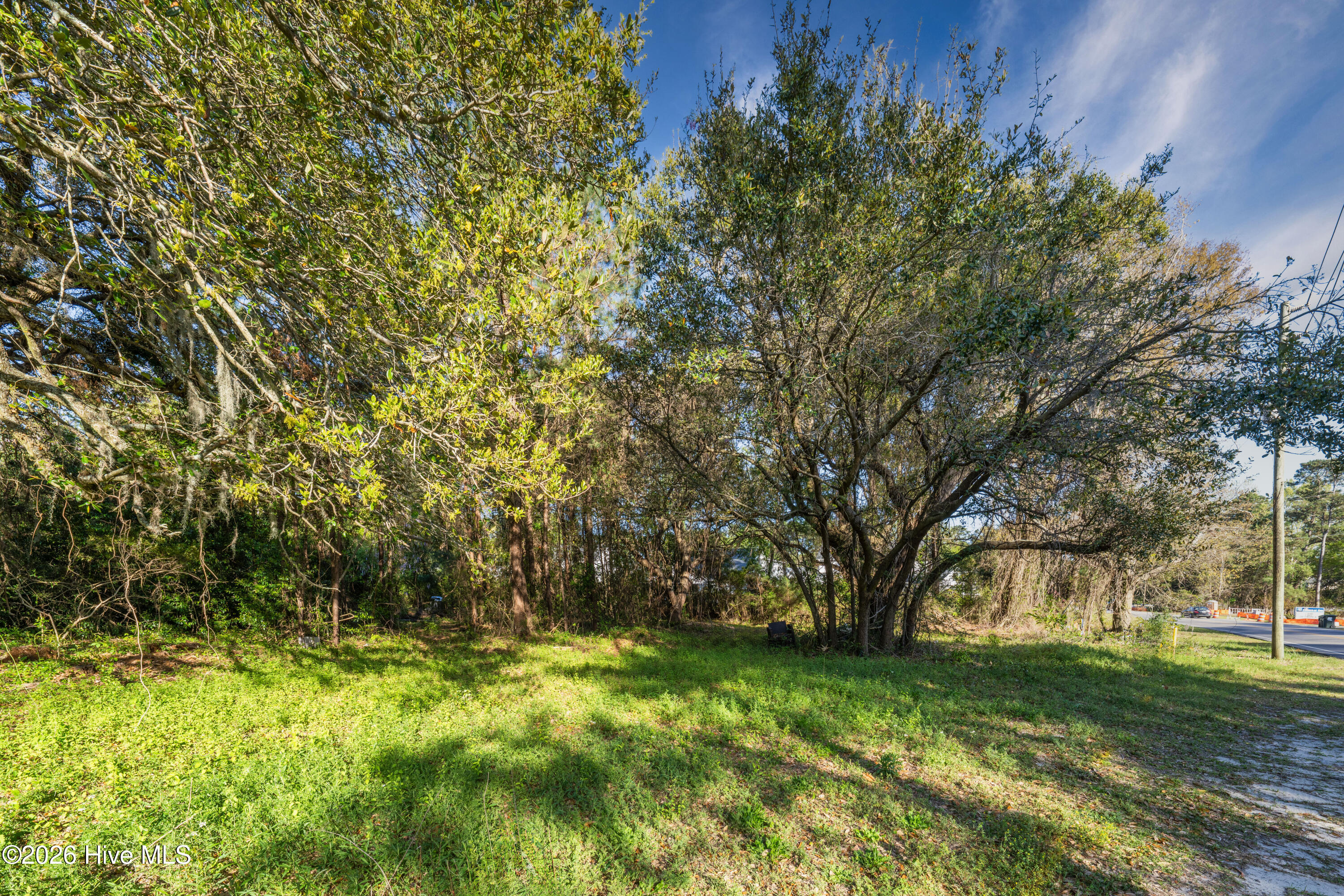 100565879 | Photo 16